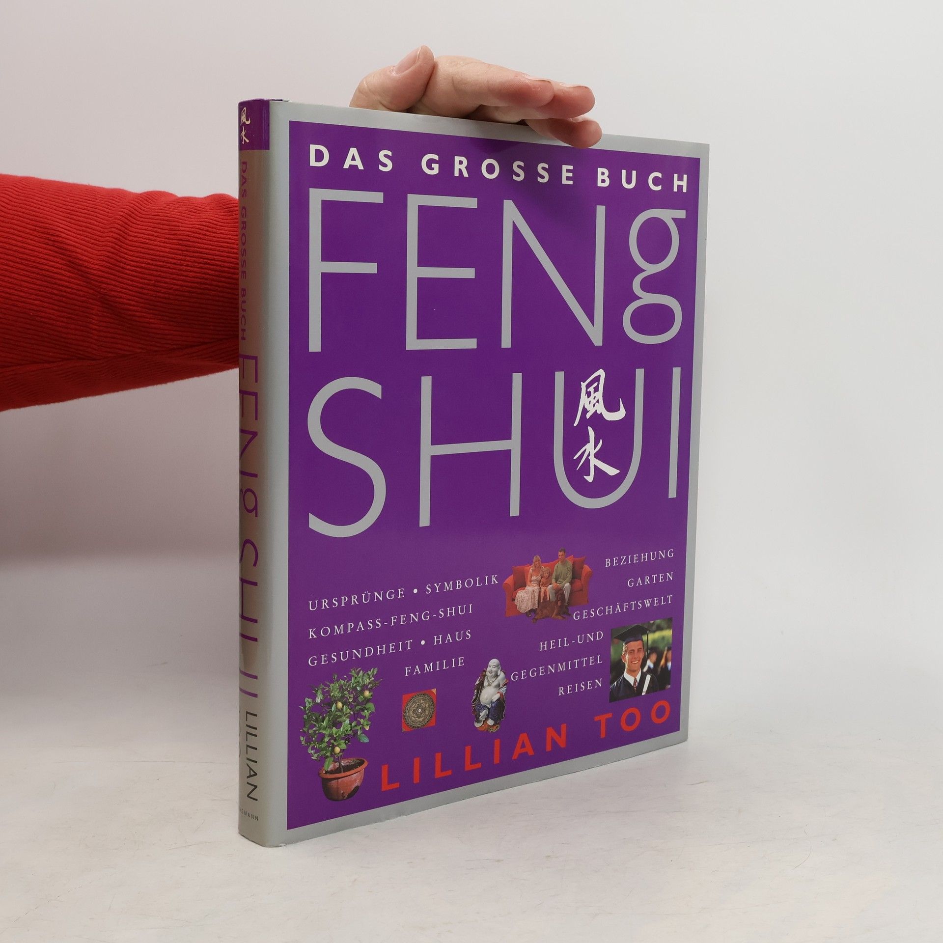 Das grosse Buch Feng Shui