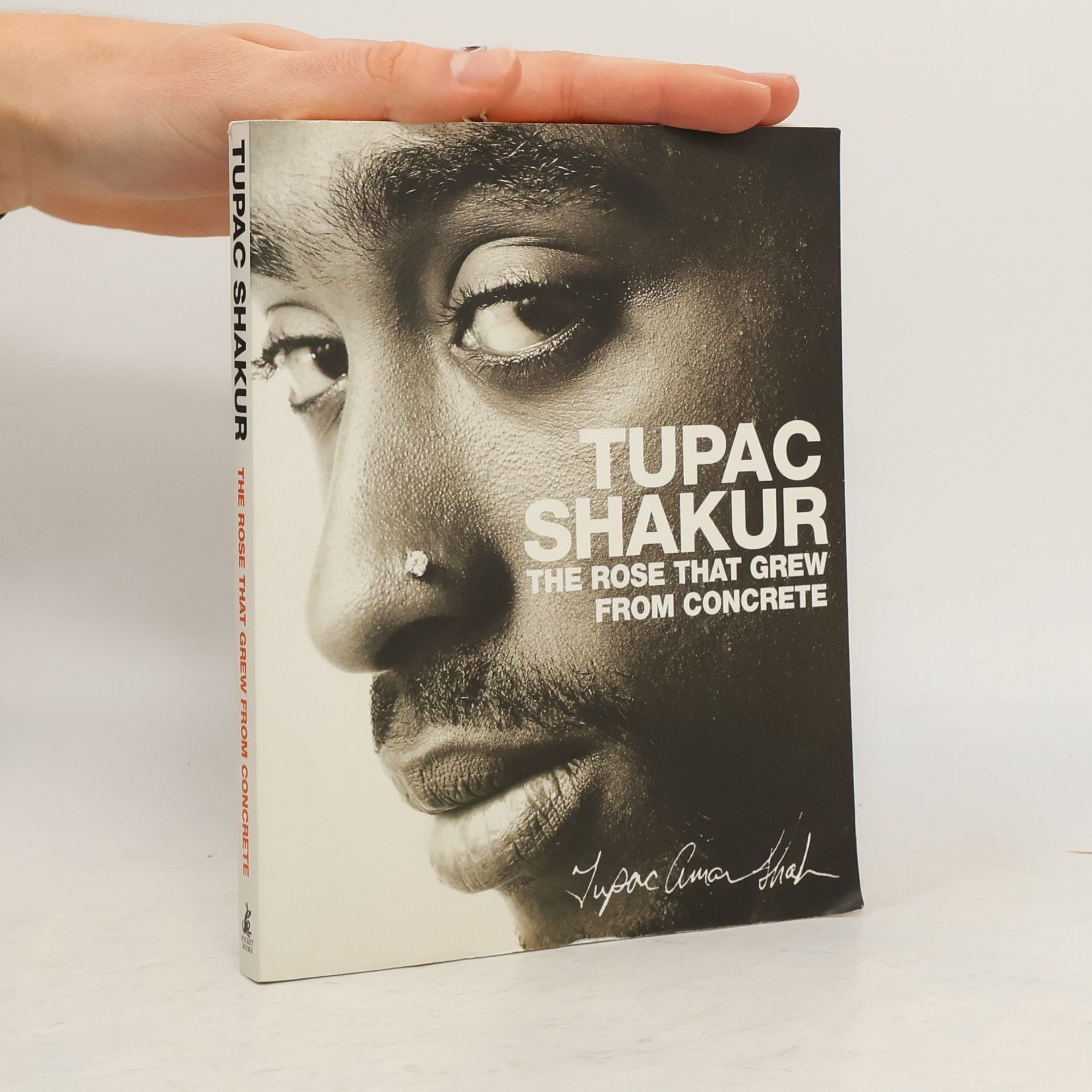 Tupac Shakur Rose That Grew from Concrete