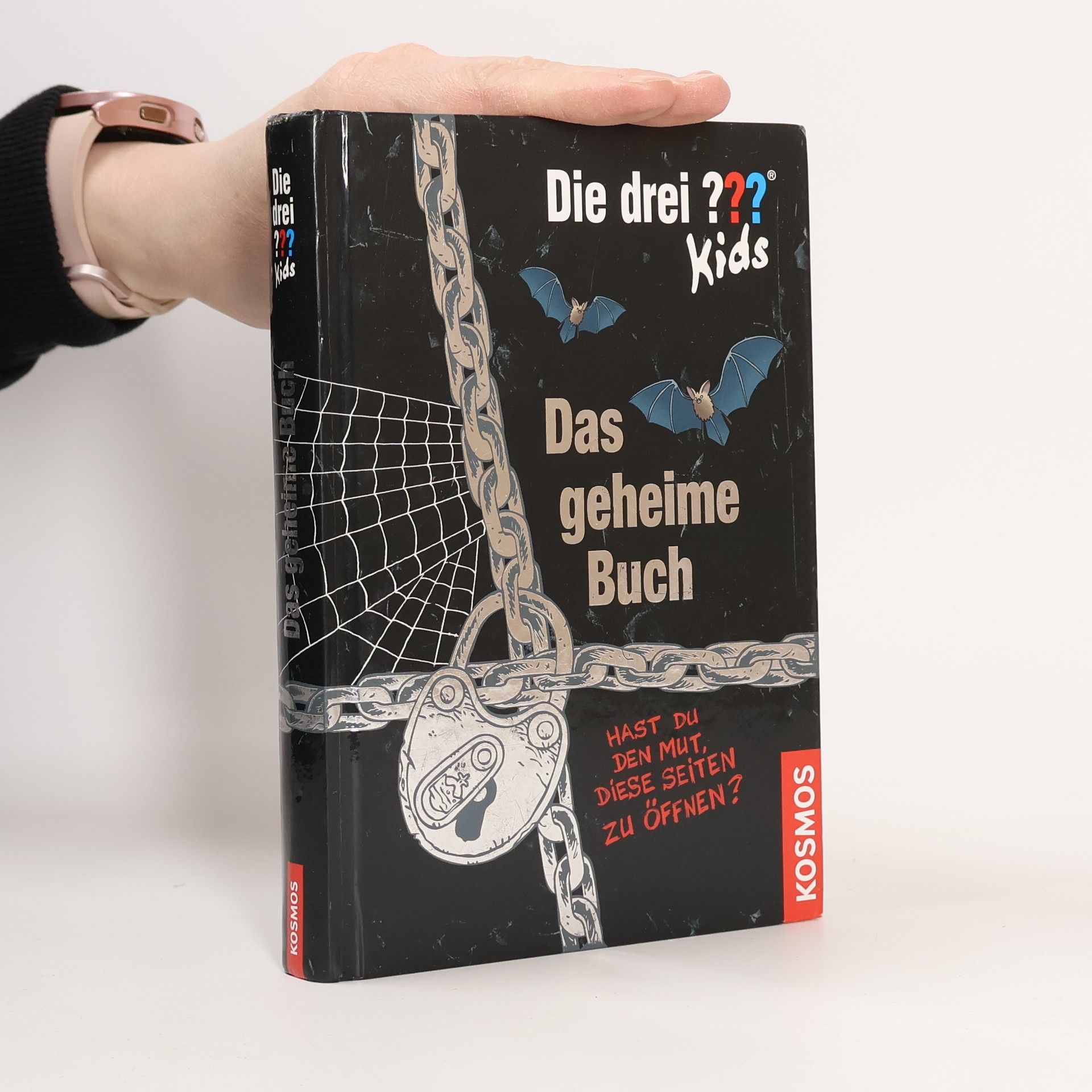 Ulf Blanck Das Geheime Buch