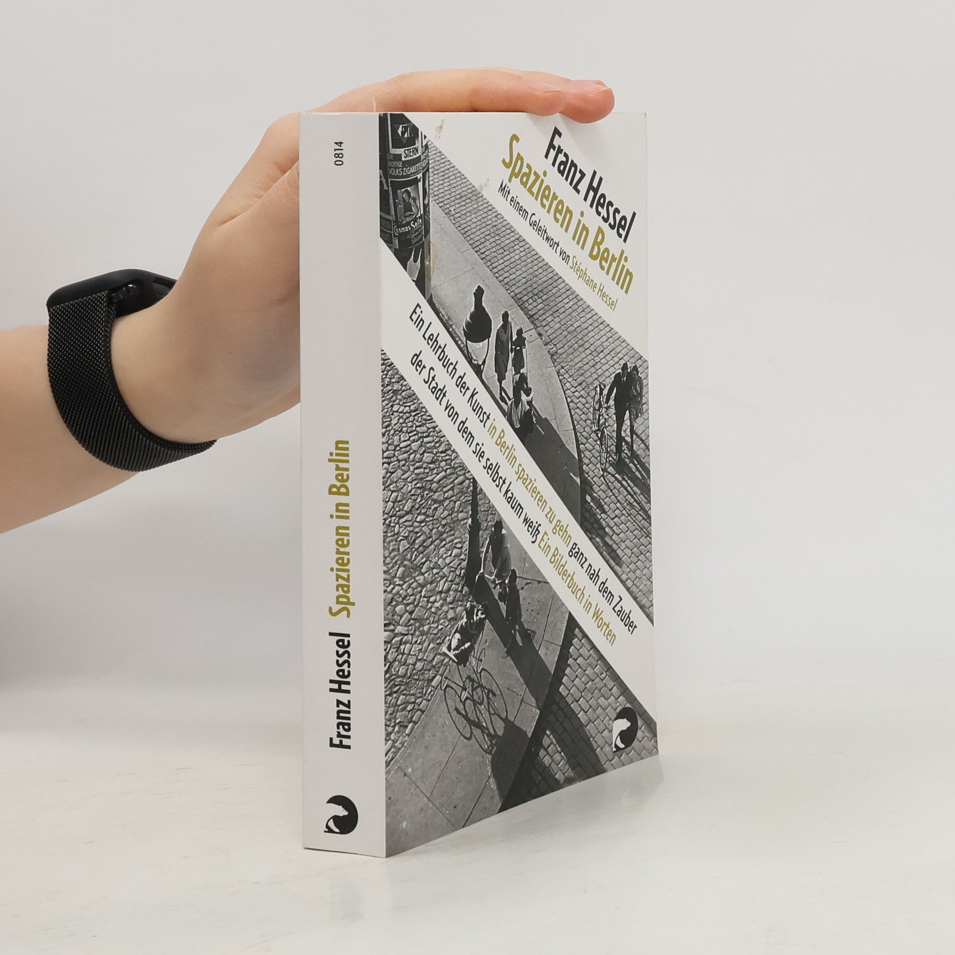 Franz Hessel Spazieren in Berlin