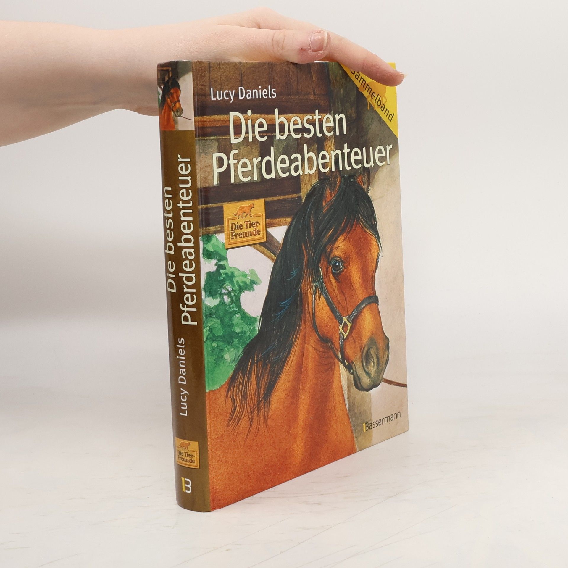 Die besten Pferdeabenteuer