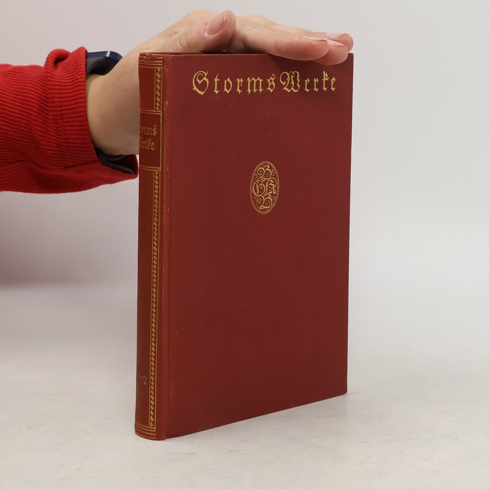 Storms Werke. Erster Teil