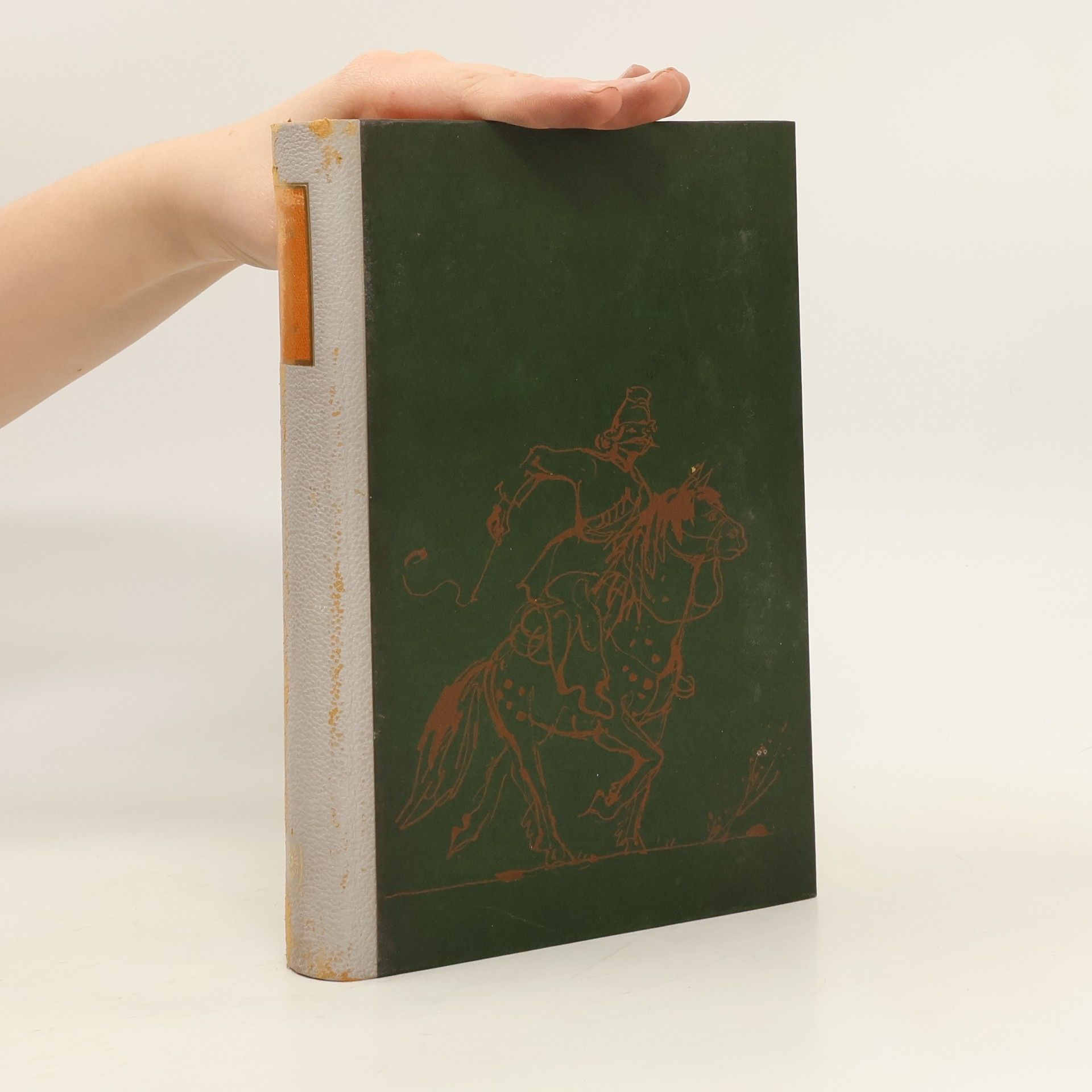 Michail Aleksandrovič Šolochov Krieg und Revolution