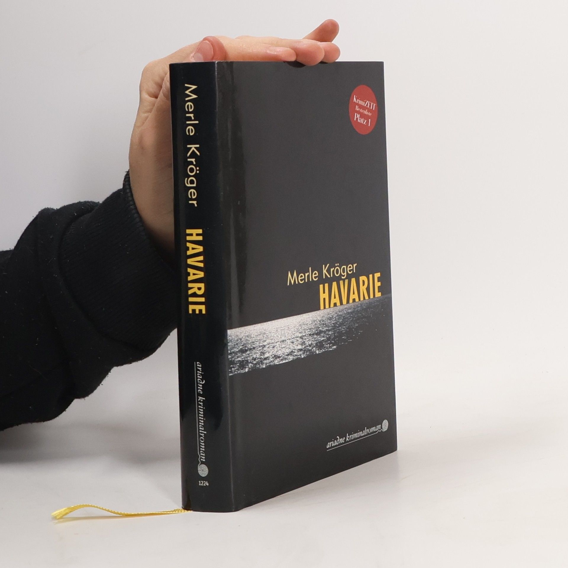 Merle Kröger Havarie