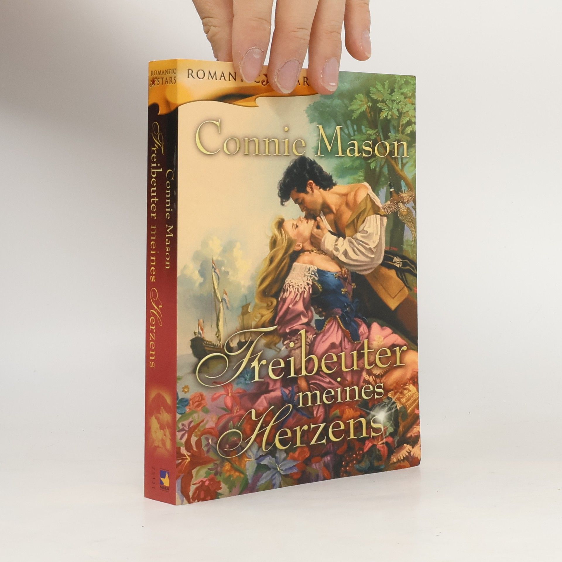 Freibeuter meines Herzens. Roman