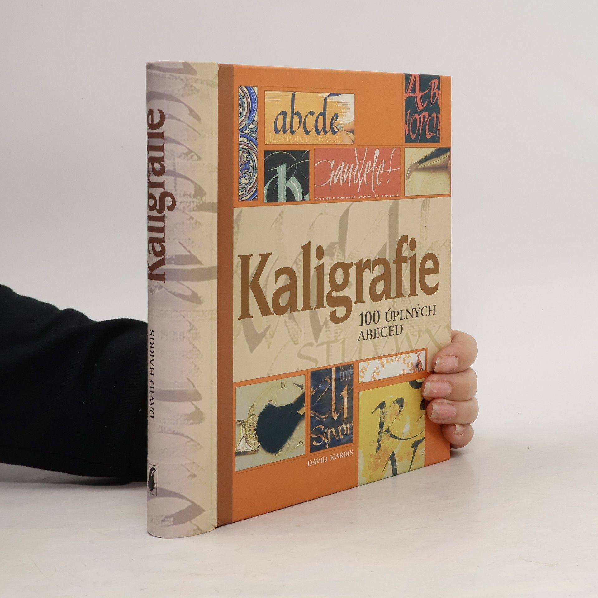 Kaligrafie : 100 úplných abeced: Podrobný a přehledný průvodce pro každého, kdo by se rád naučil umění krásného psaní