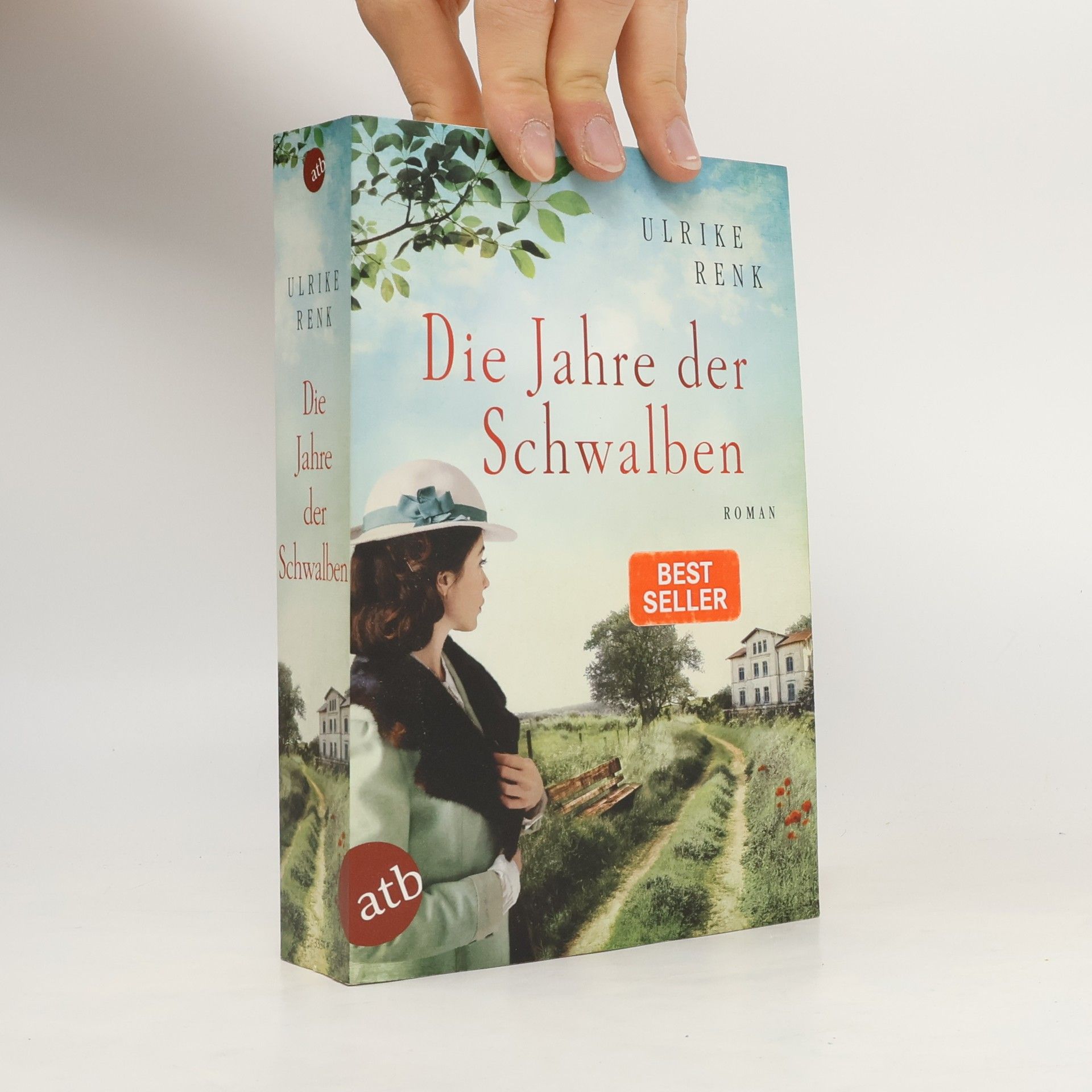 Ulrike Renk Die Jahre der Schwalben