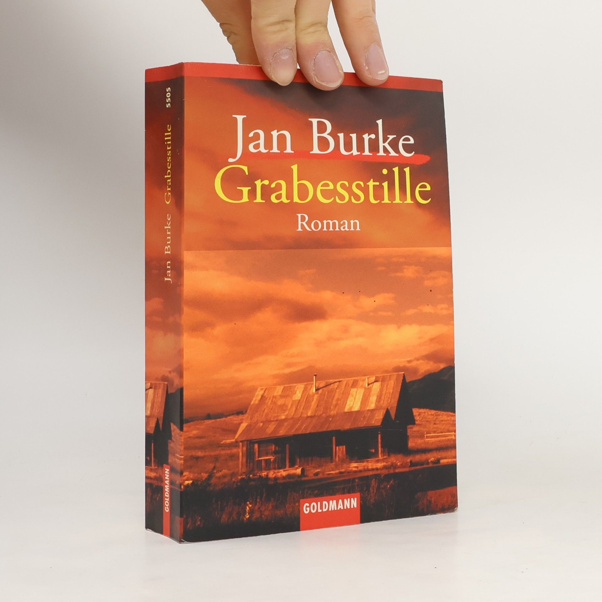 Jan Burke Grabesstille