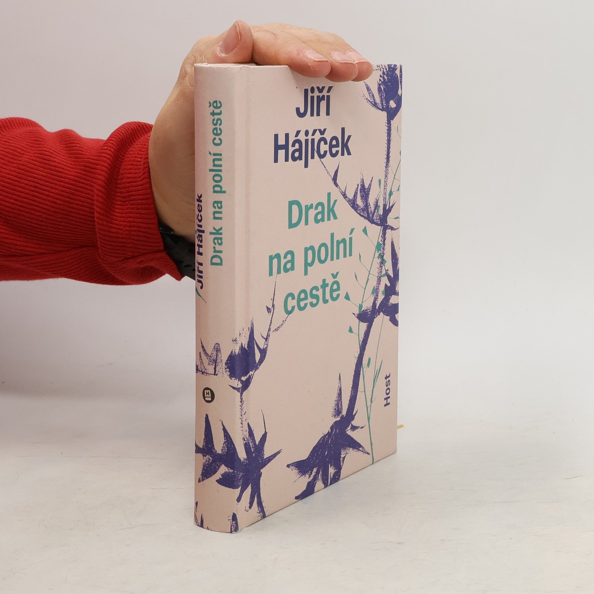 Jiří Hájíček Drak na polní cestě