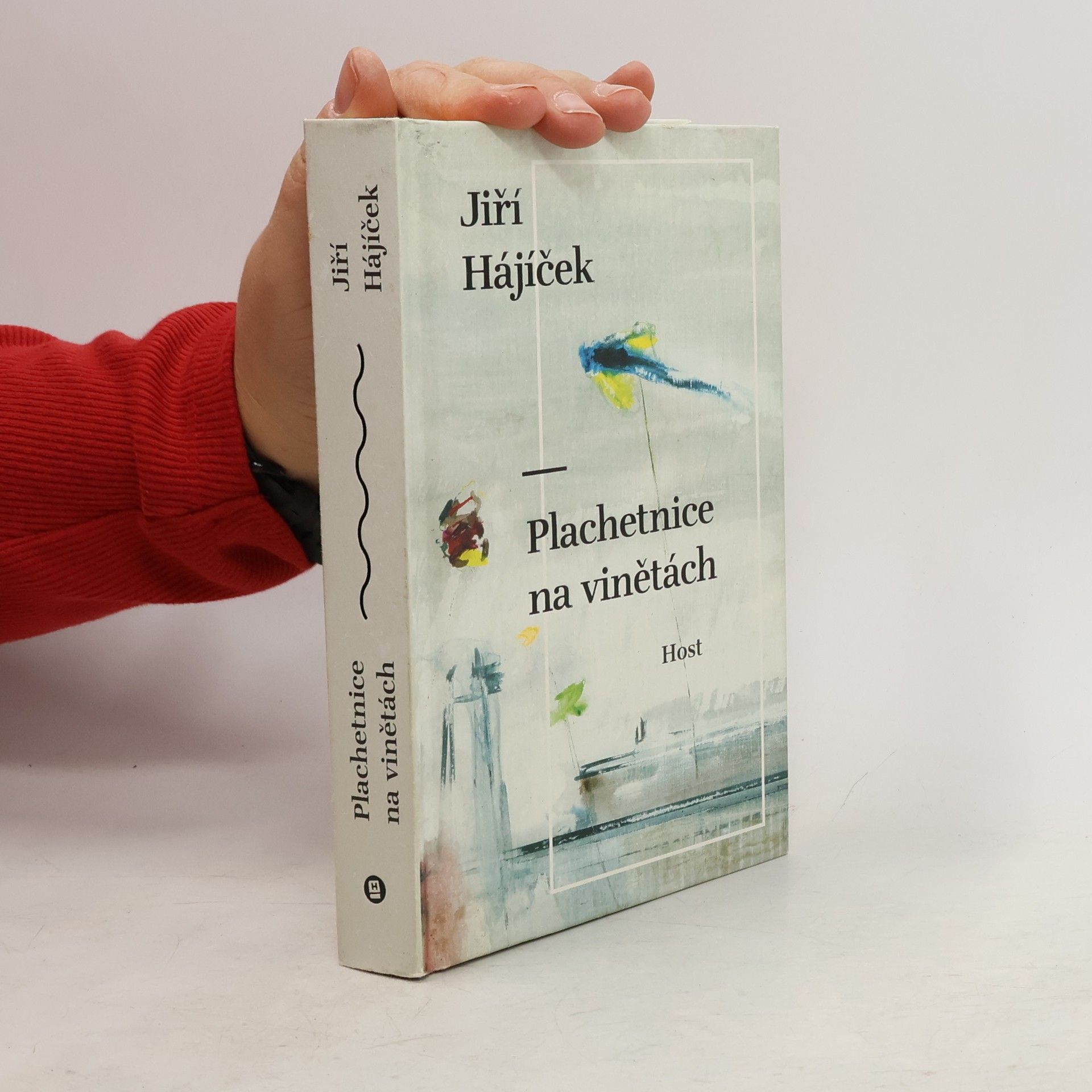 Jiří Hájíček Plachetnice na vinětách