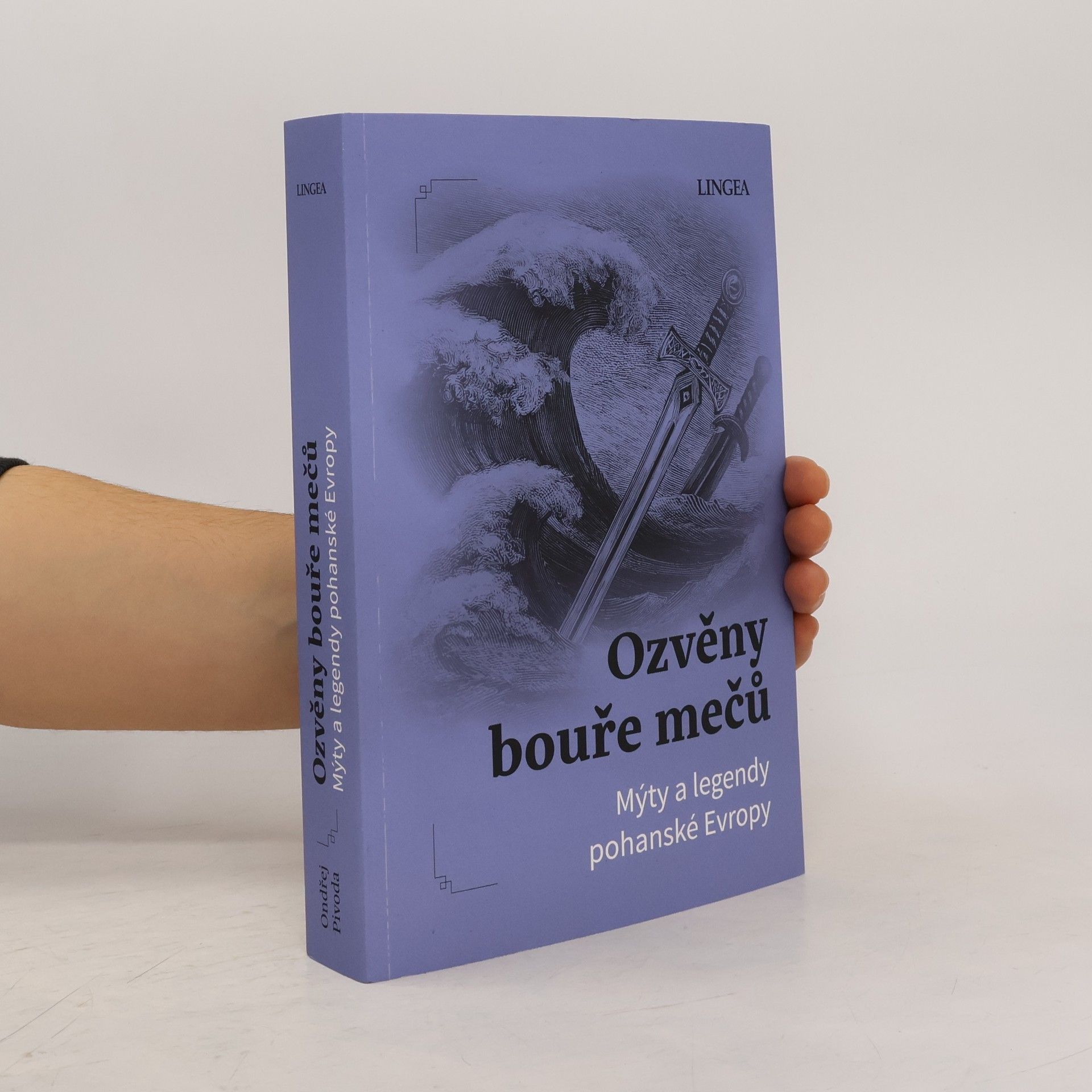 Ozvěny bouře mečů