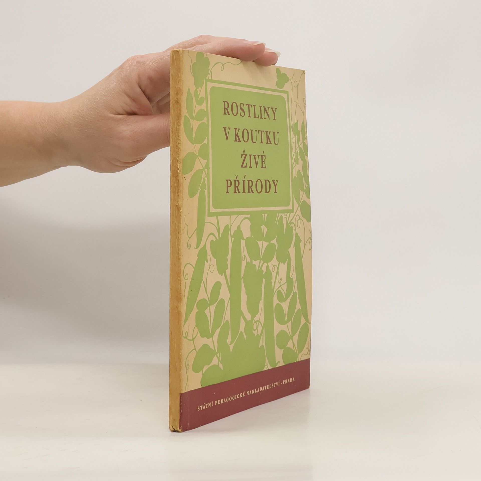 Oldřich Strumhaus Rostliny v koutku živé přírody