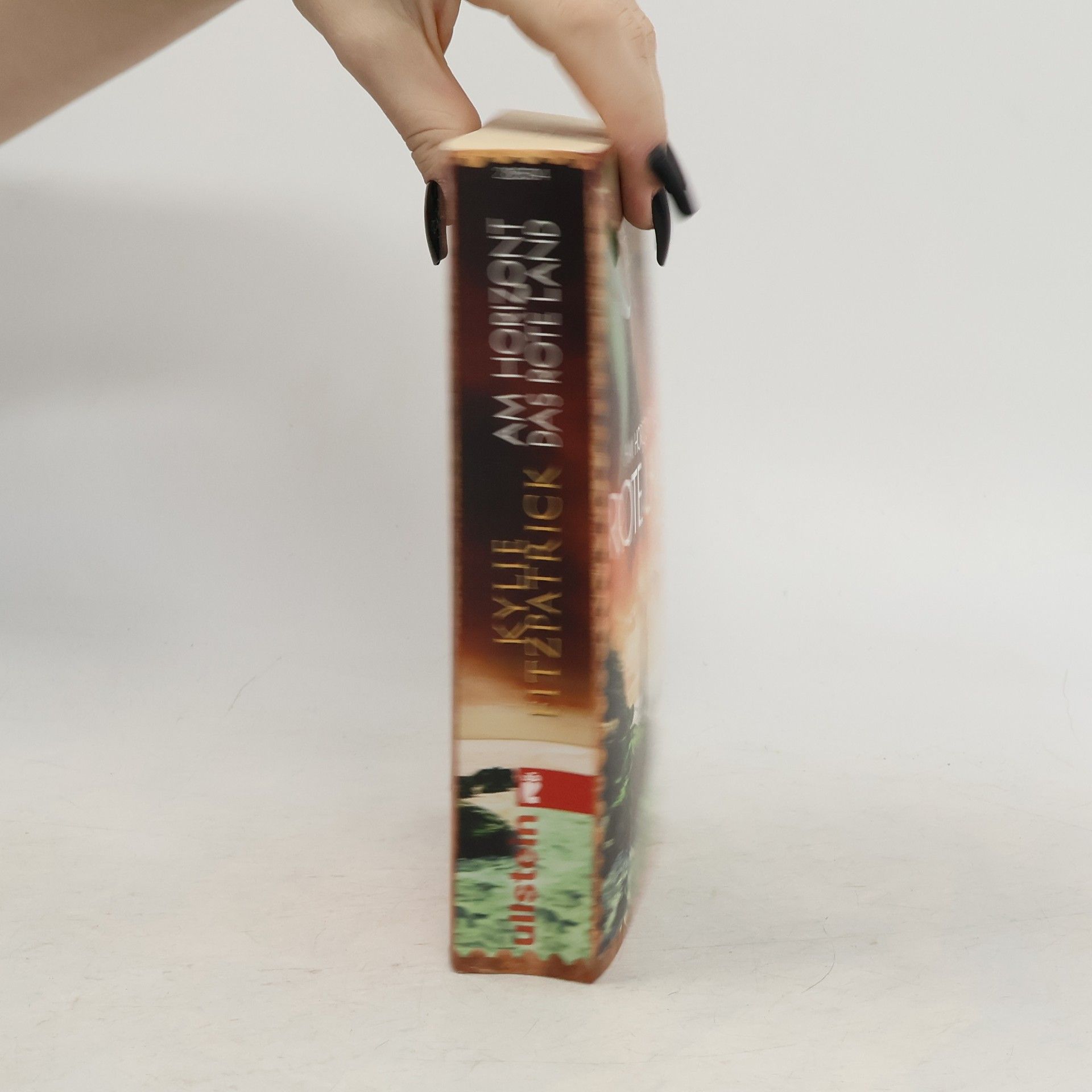 Kylie Fitzpatrick Am Horizont das rote Land