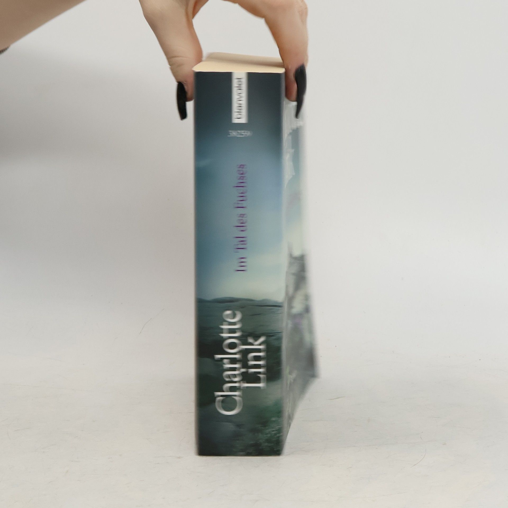 Charlotte Link Im Tal des Fuchses