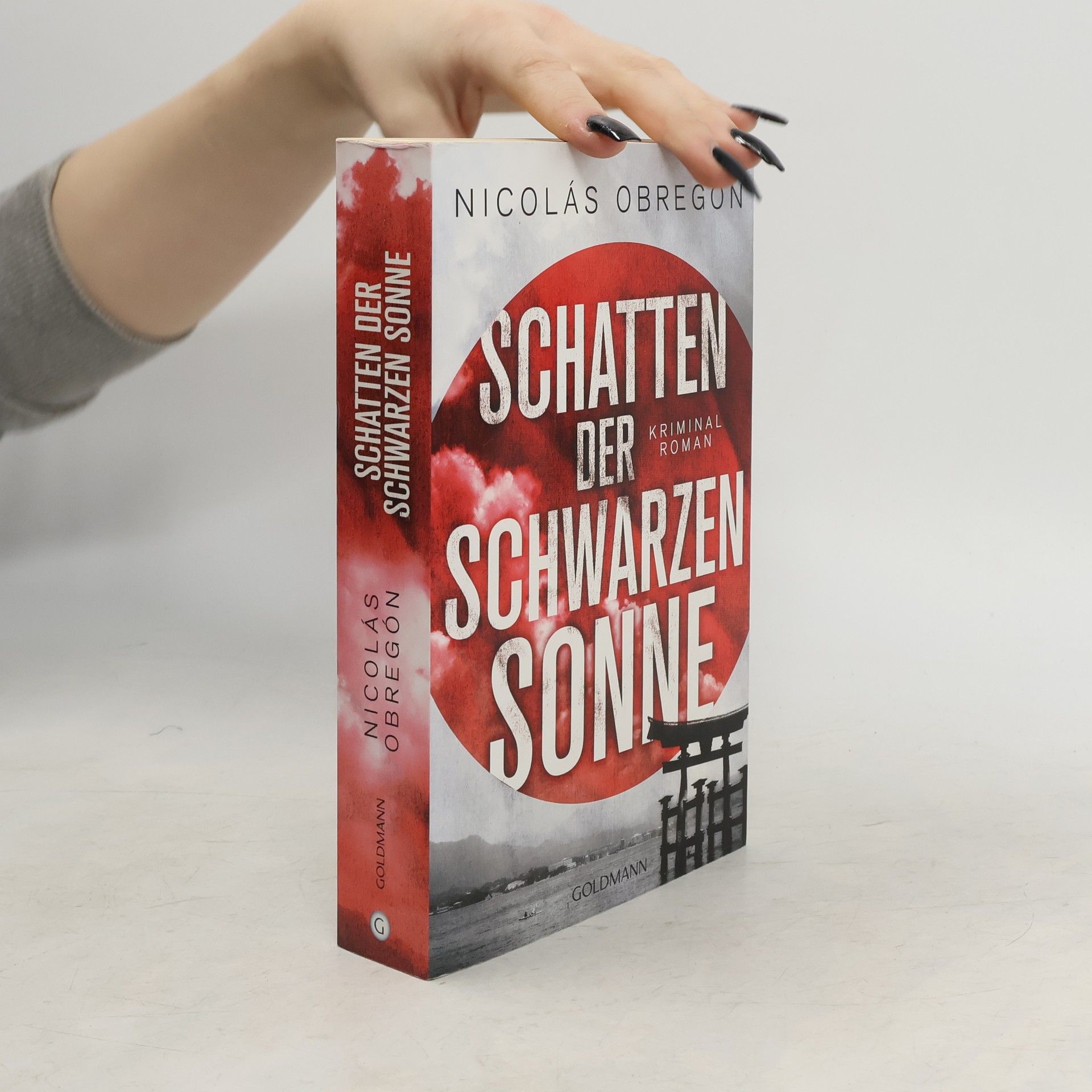 Nicolás Obregón Schatten der schwarzen Sonne