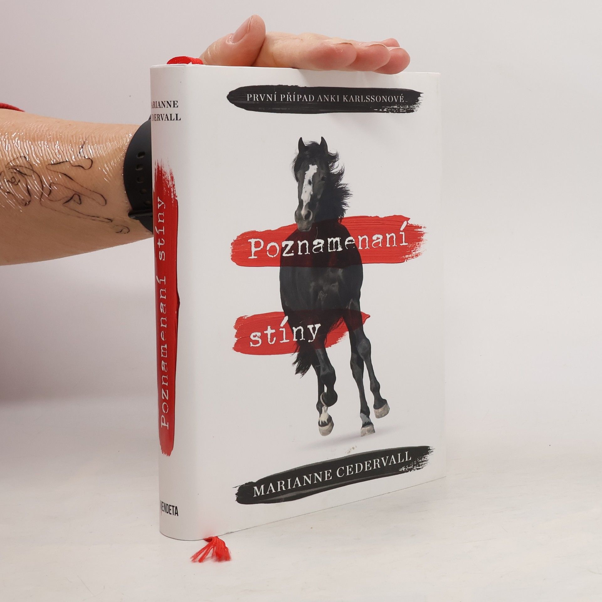 Marianne Cedervall Poznamenaní stíny