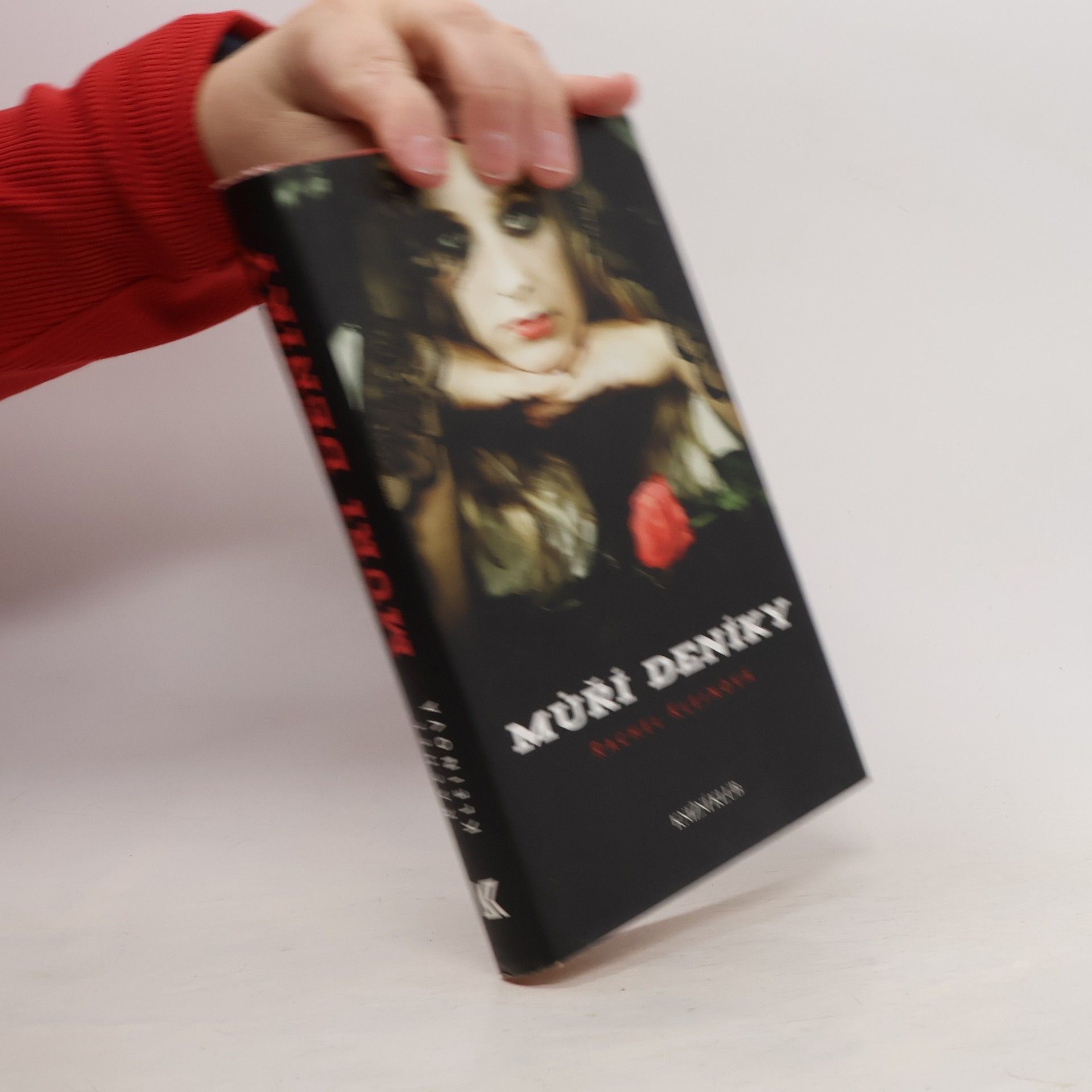 Rachel Klein Můří deníky