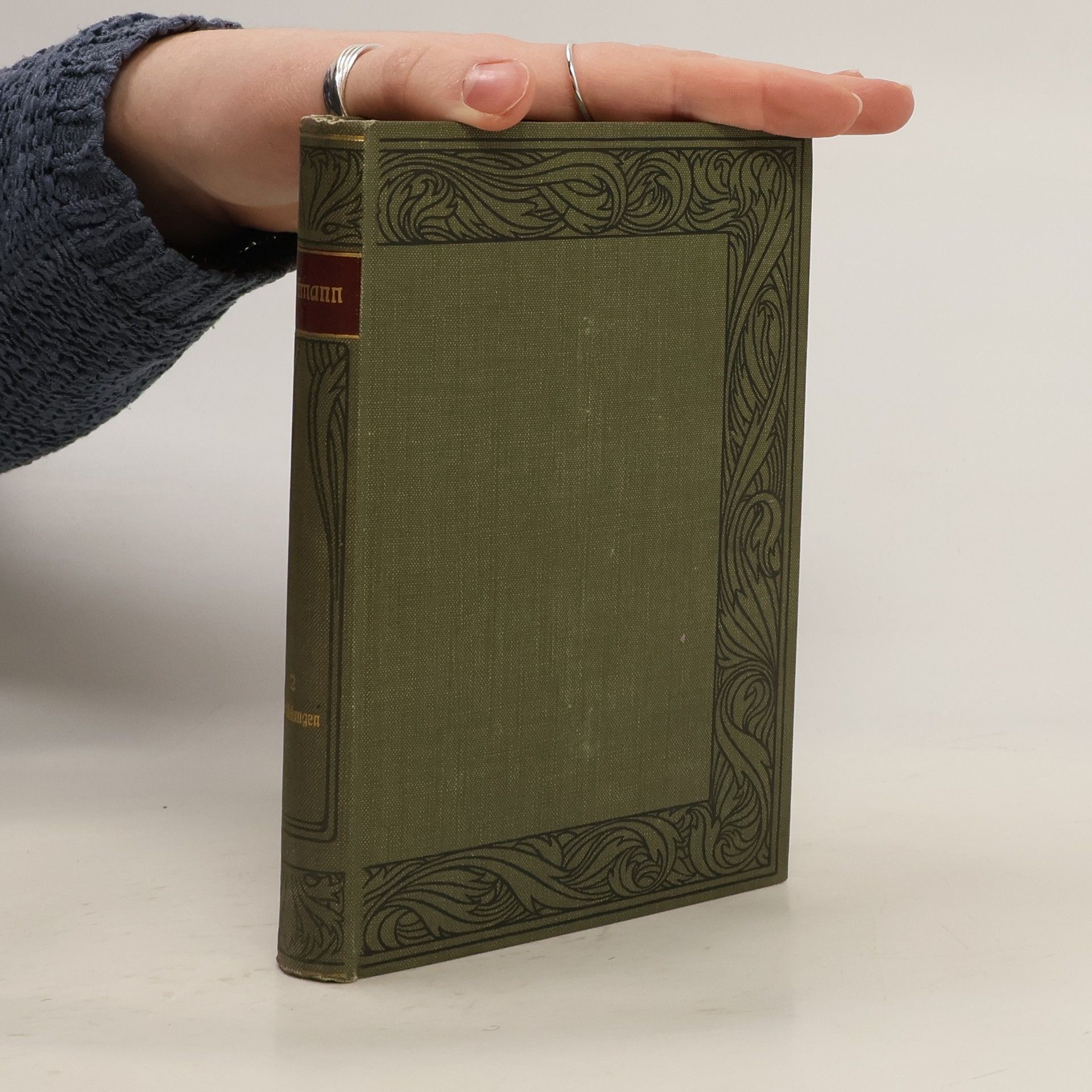 Viktor Schwiezer Hoffmanns Werke 2