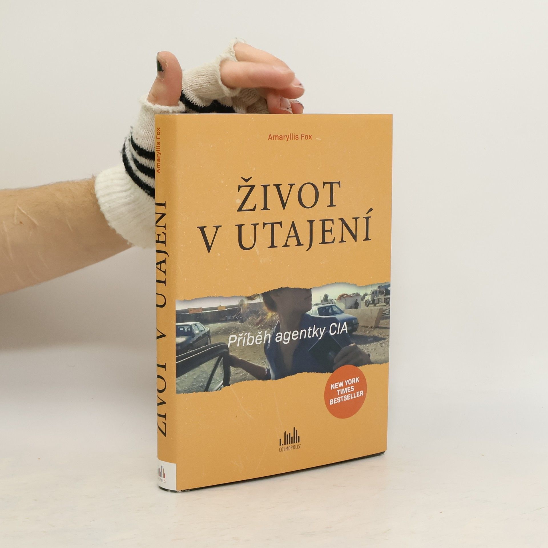 Život v utajení. Příběh agentky CIA