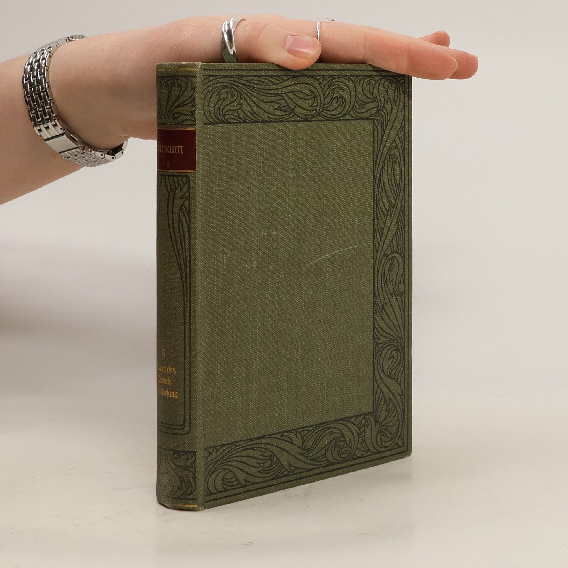 Viktor Schwiezer Hoffmanns Werke. Dritter Band