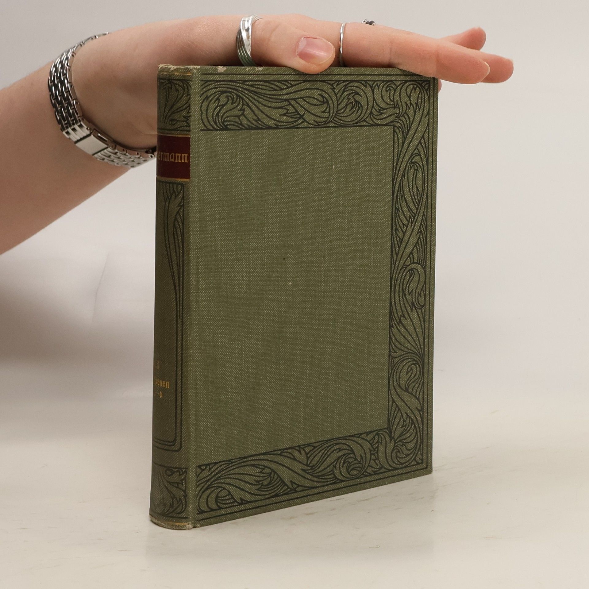 Carl Lebrecht Immermann Immermanns Werke 3. Band