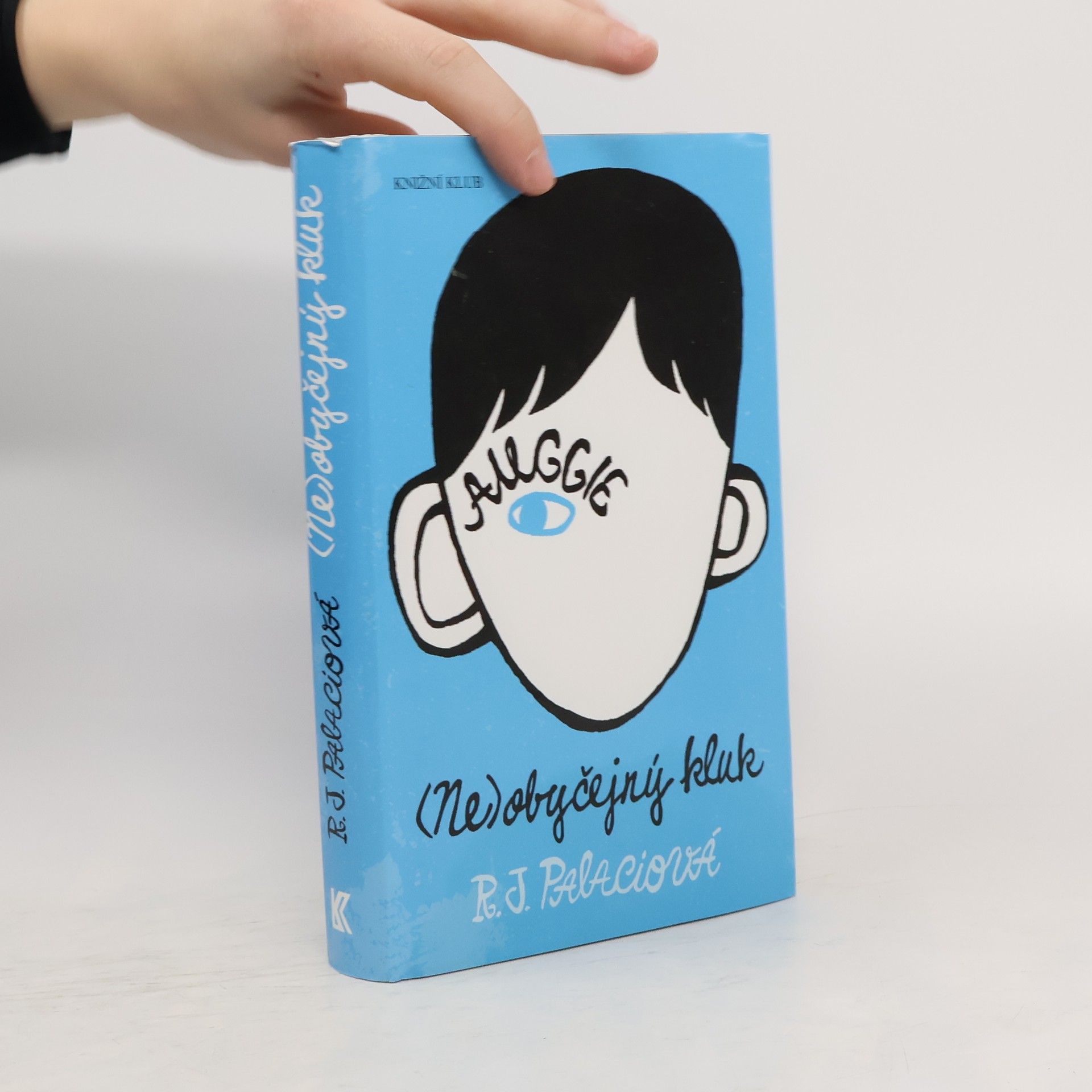 Raquel J. Palacio (Ne)obyčejný kluk