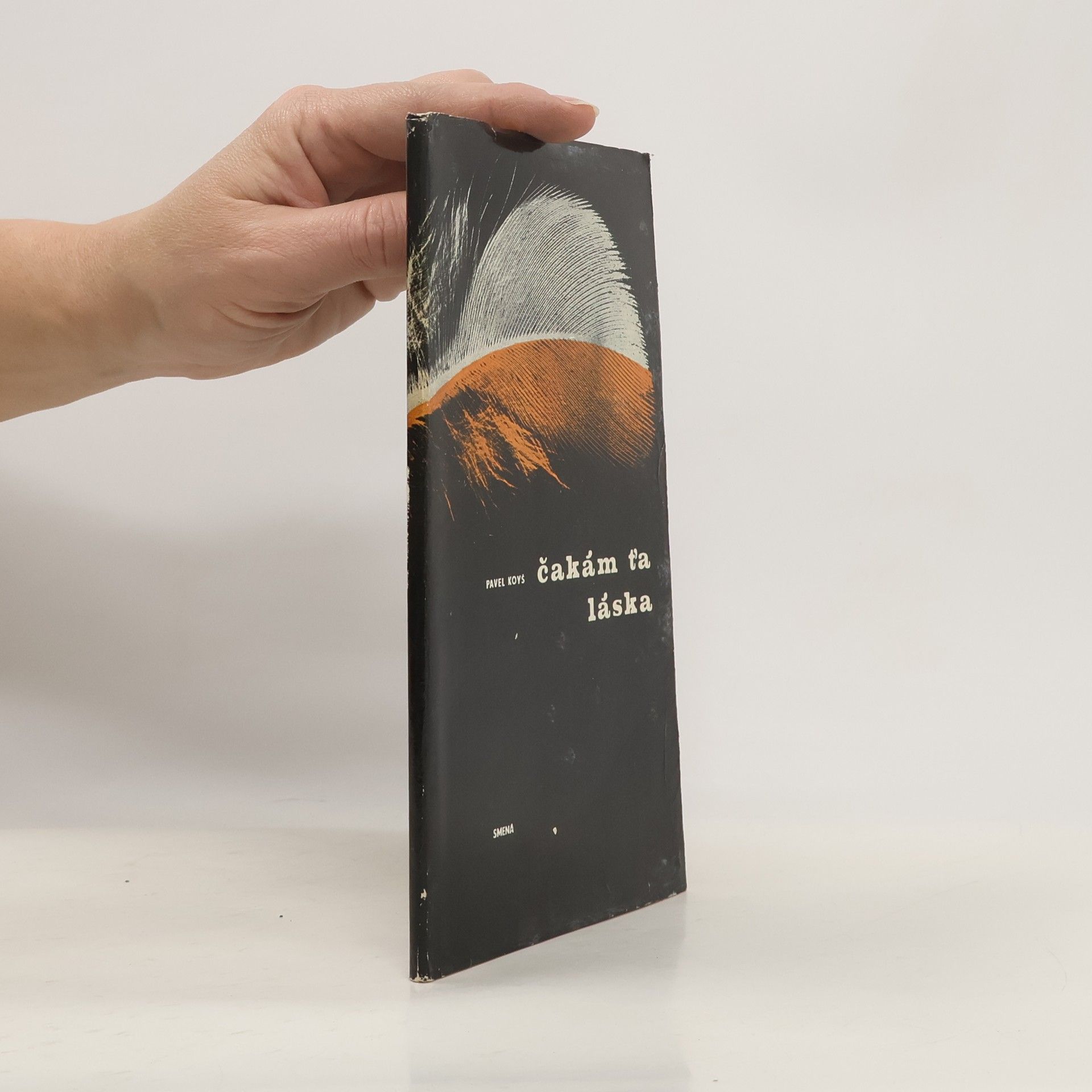 Pavel Koyš Čakám ťa láska