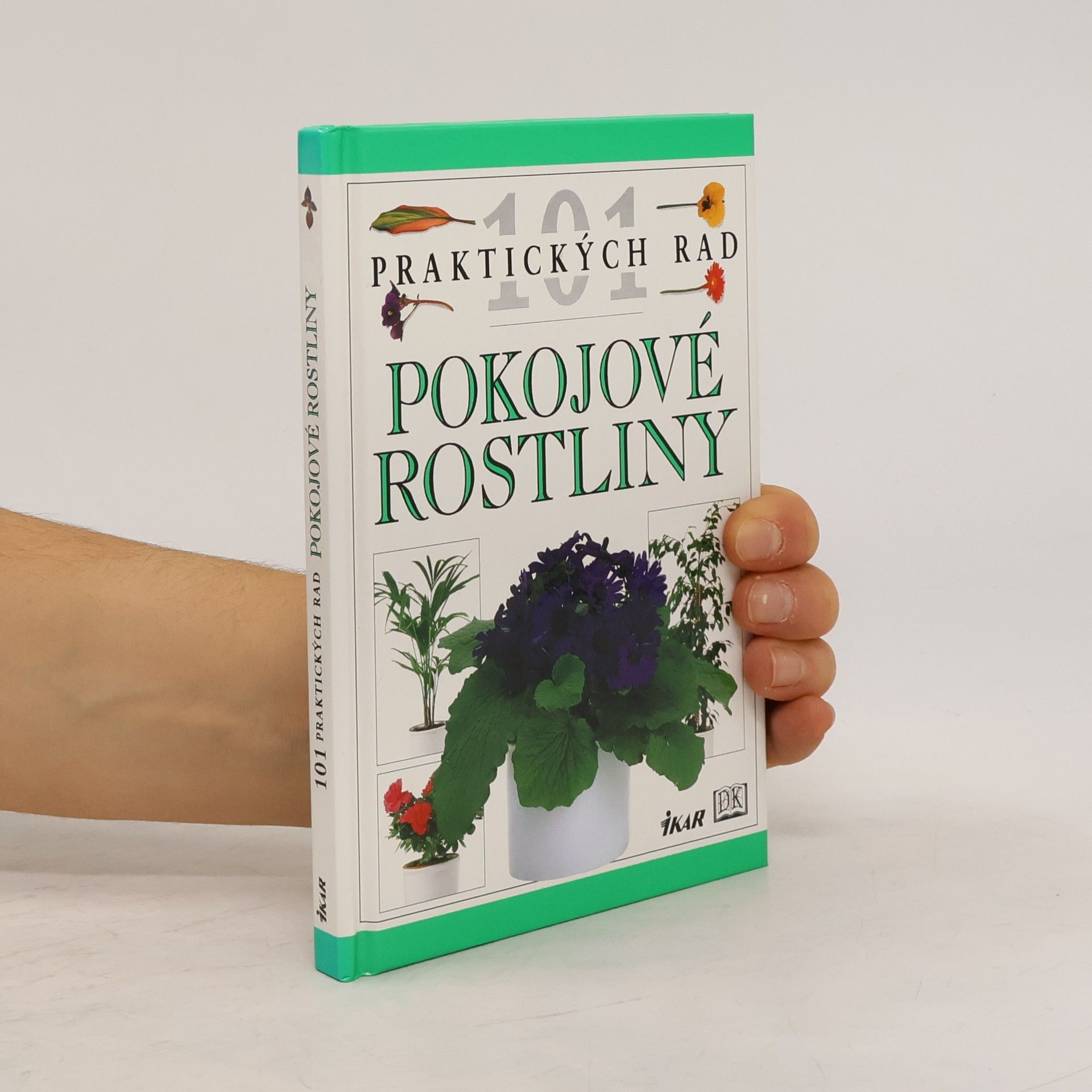 Pokojové rostliny