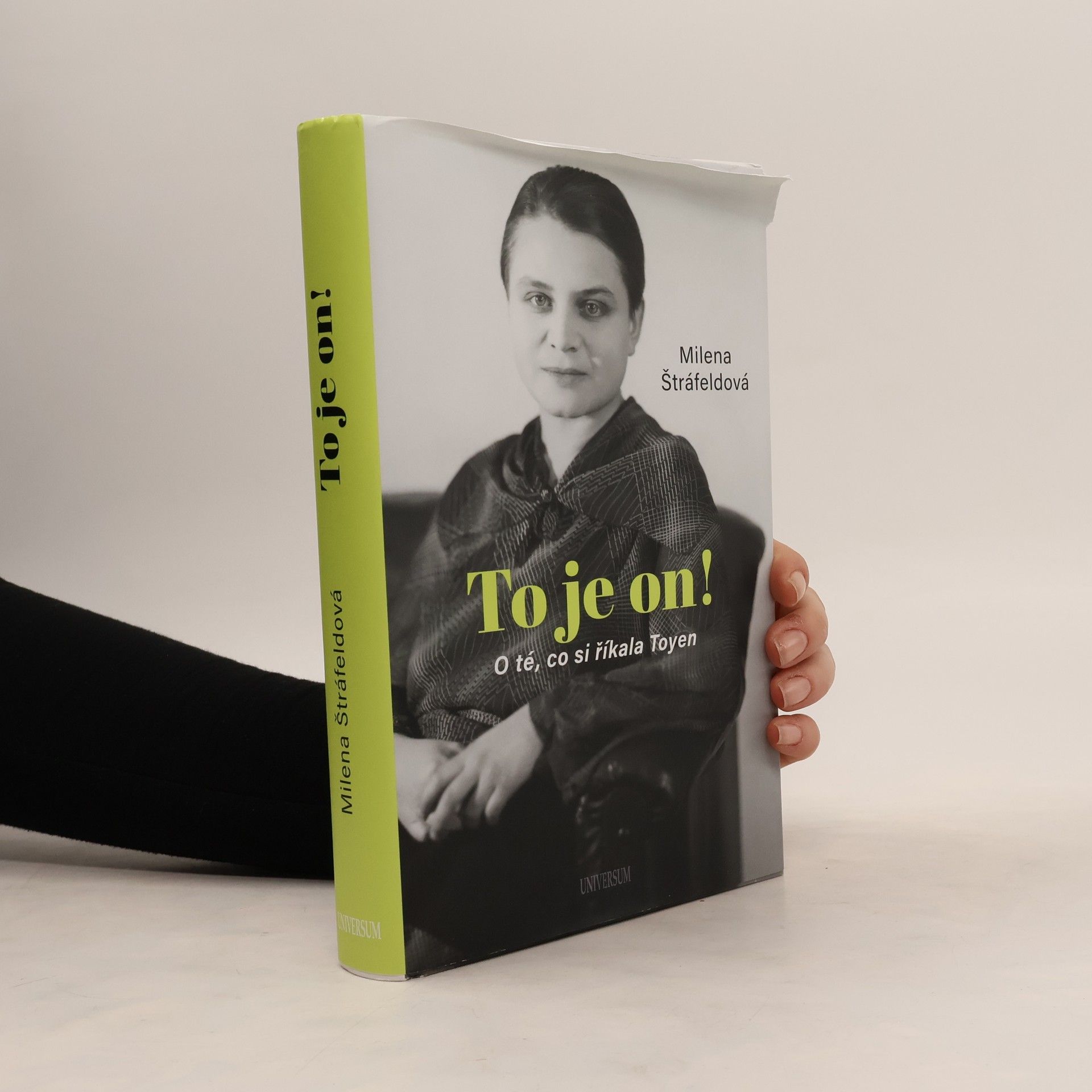 To je on! O té, co si říkala Toyen