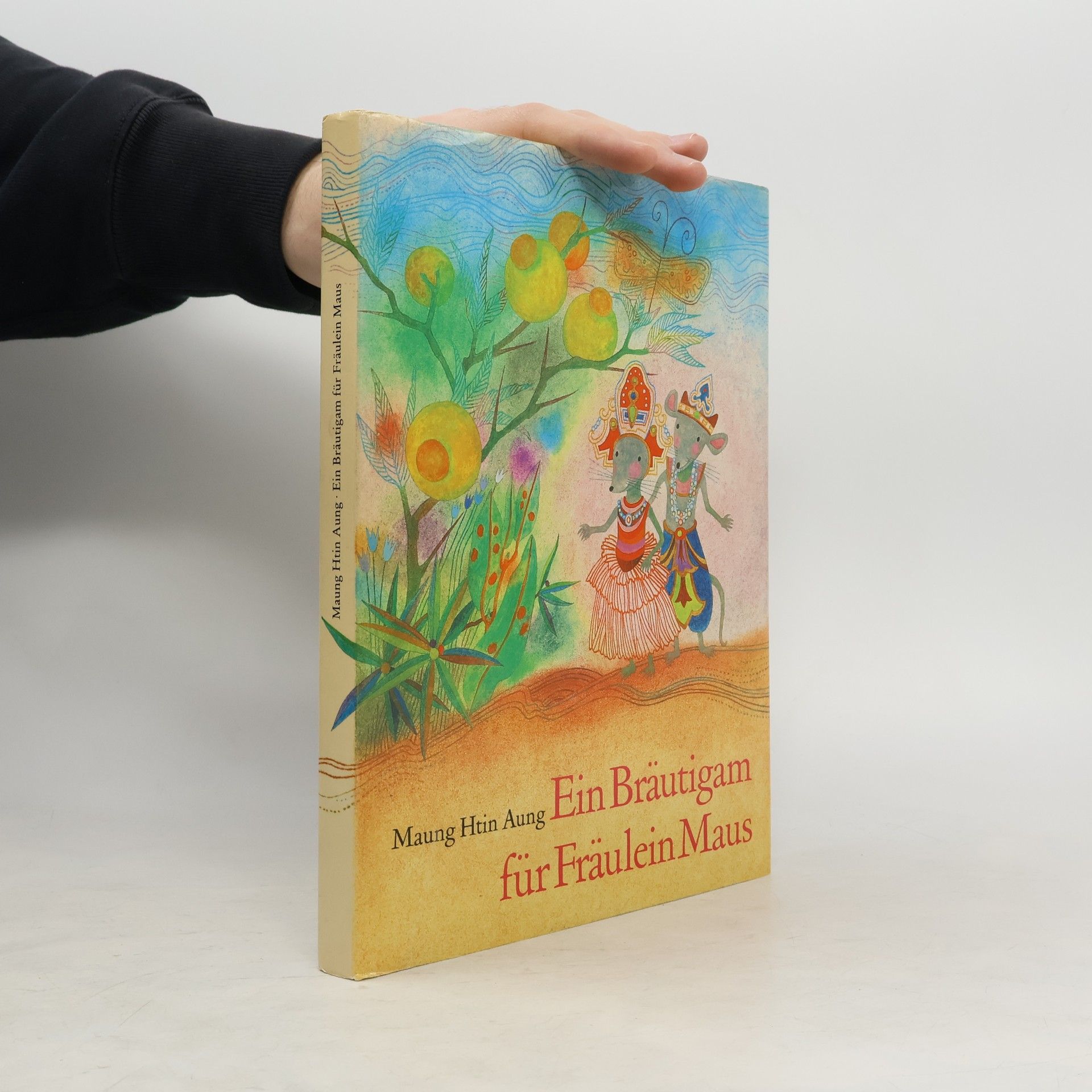 Ein Bräutigam für Fräulein Maus : Burmesische Märchen