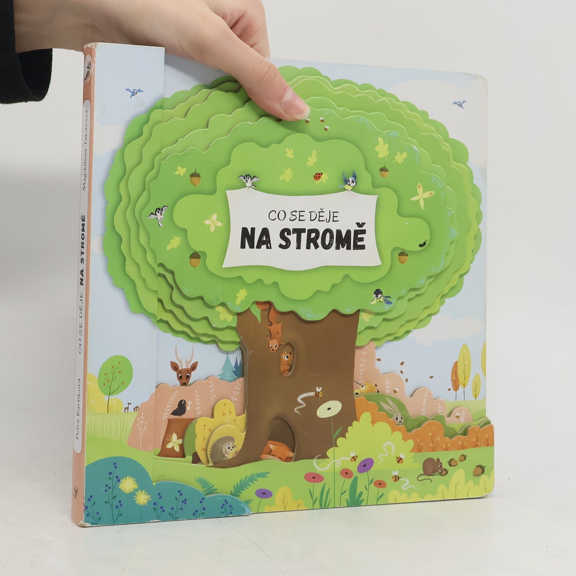 Petra Bartíková Co se děje na stromě