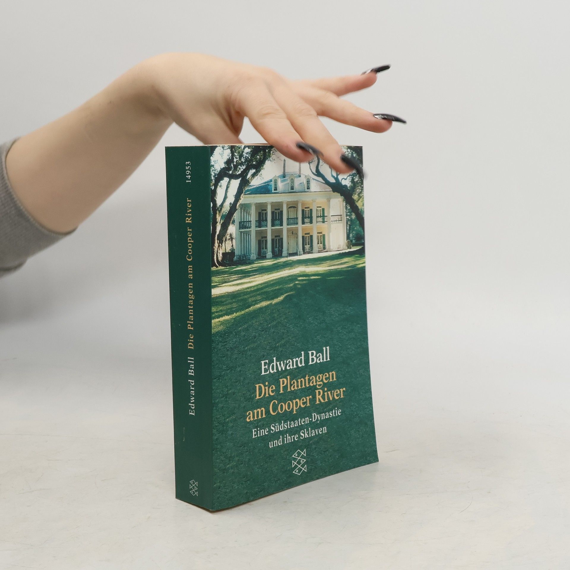 Die Plantagen am Cooper River