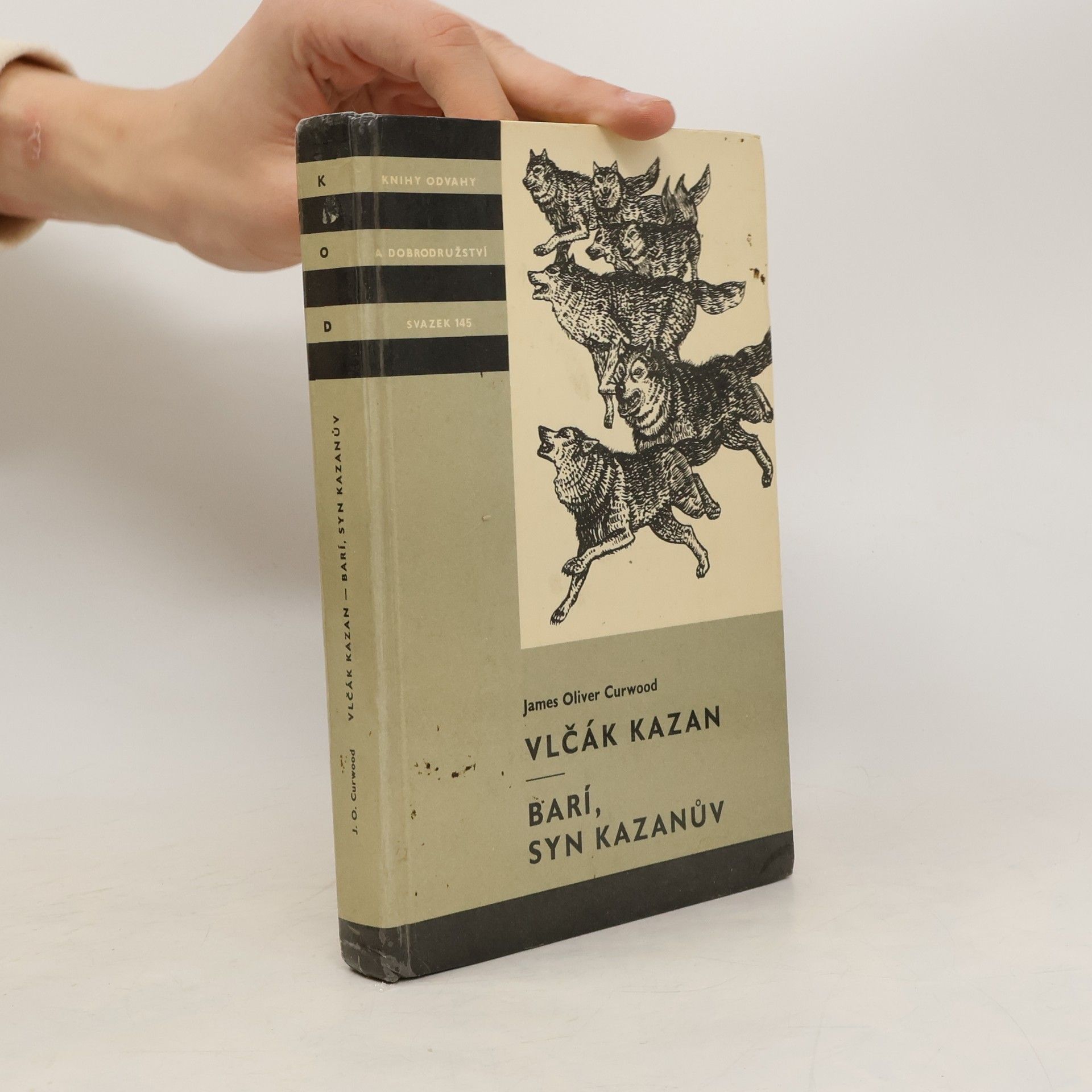 Vlčák Kazan. Barí, syn Kazanův