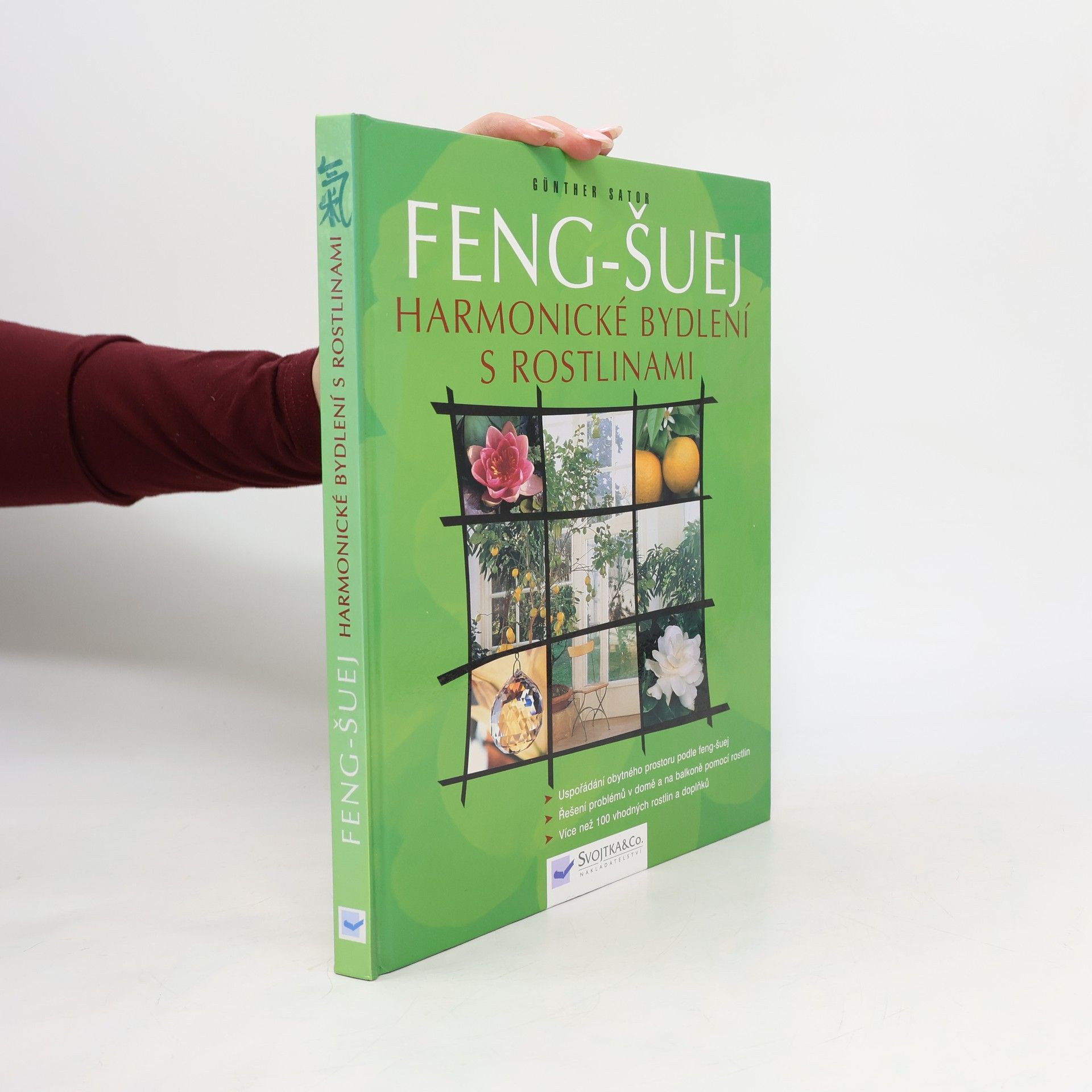 Günther Sator Feng-šuej. Harmonické bydlení s rostlinami