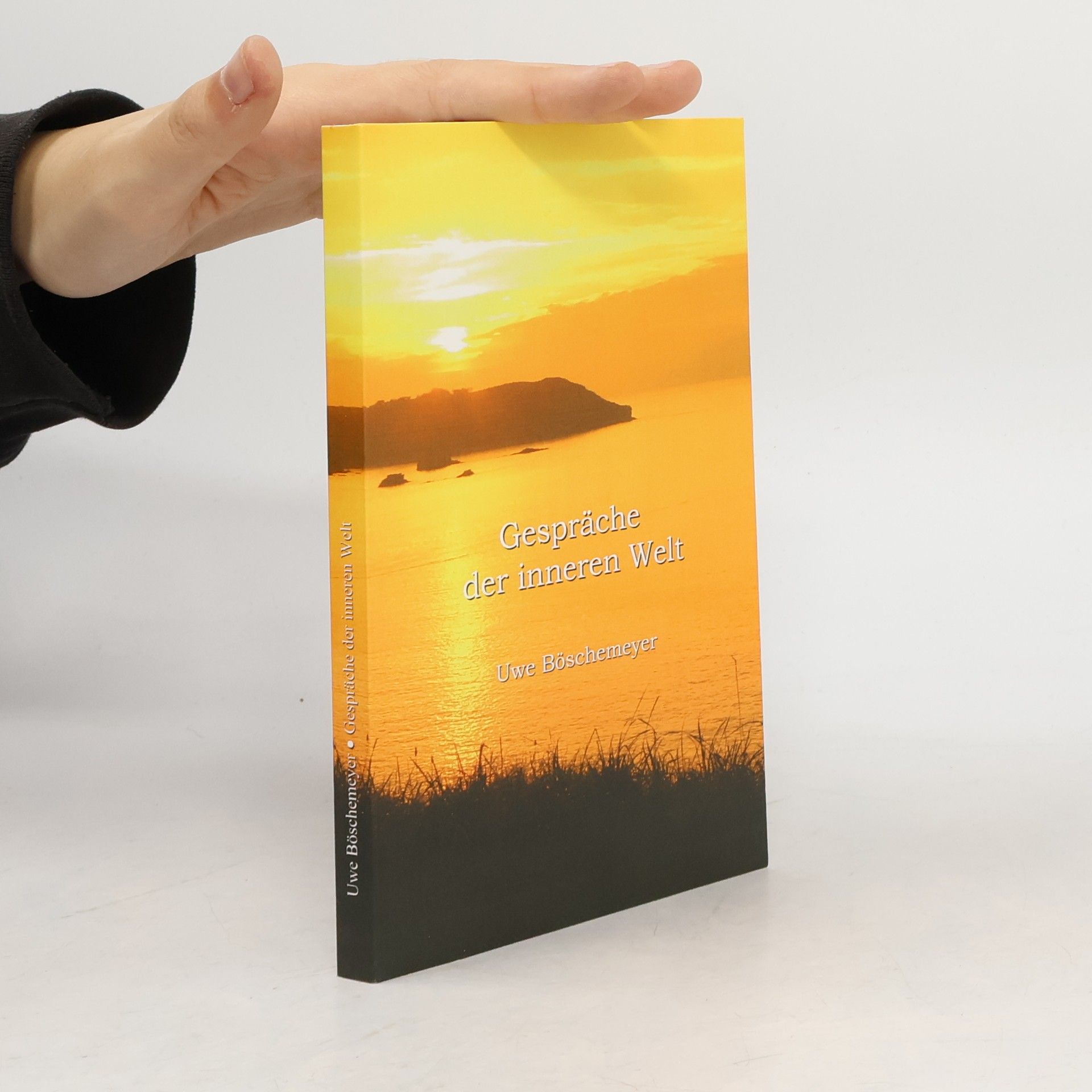 Uwe Böschemeyer Gespräche der inneren Welt