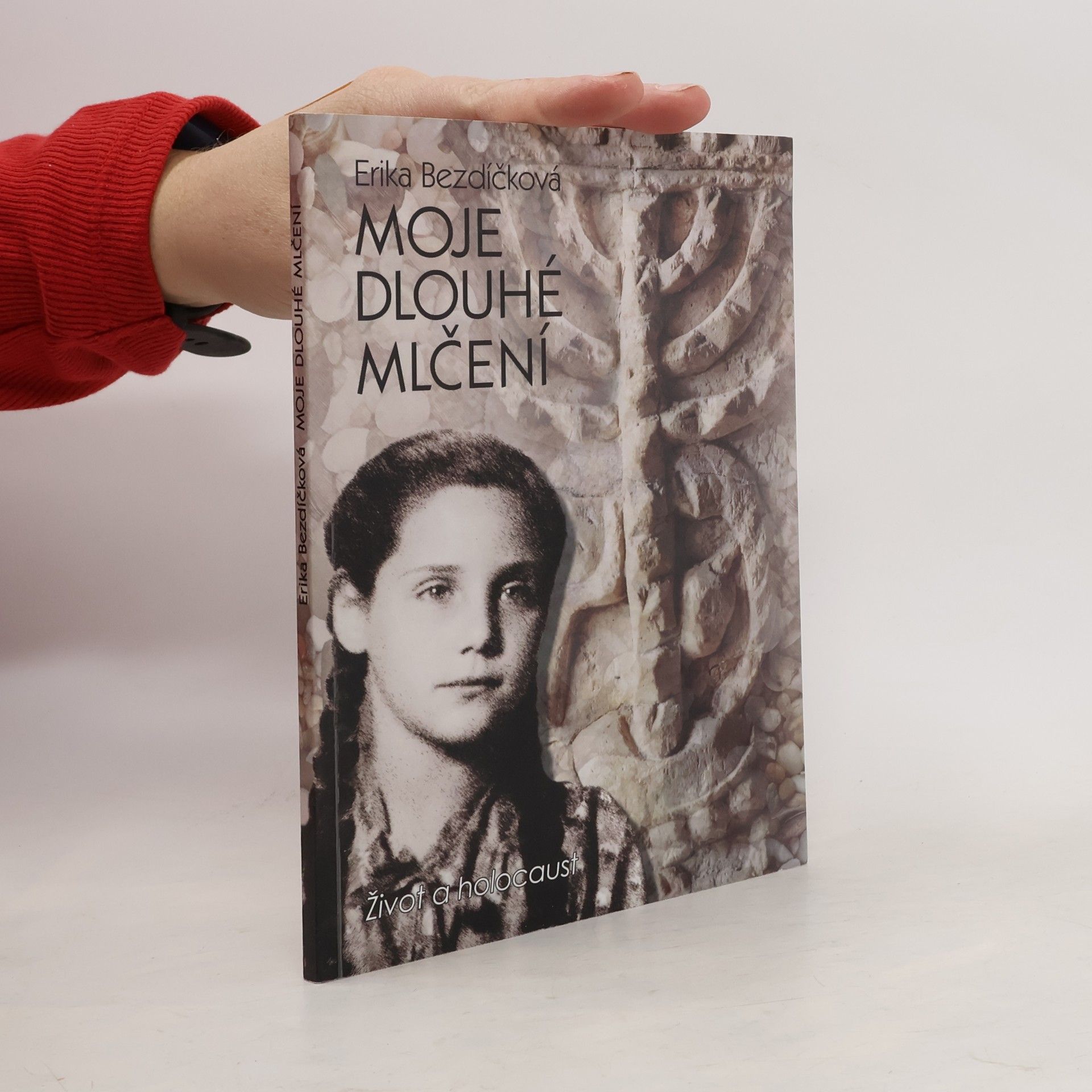 Erika Bezdíčková Moje dlouhé mlčení