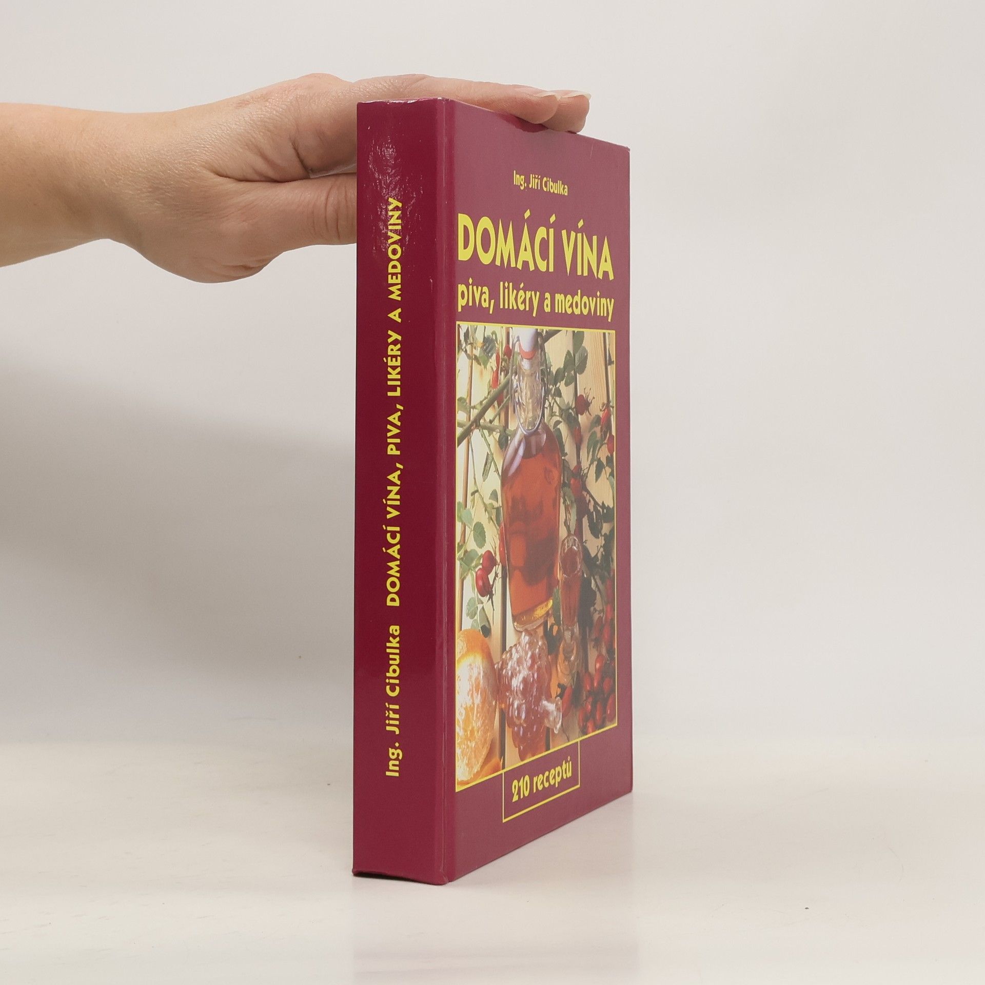 Jiří Cibulka Domácí vína: Piva, likéry a medoviny