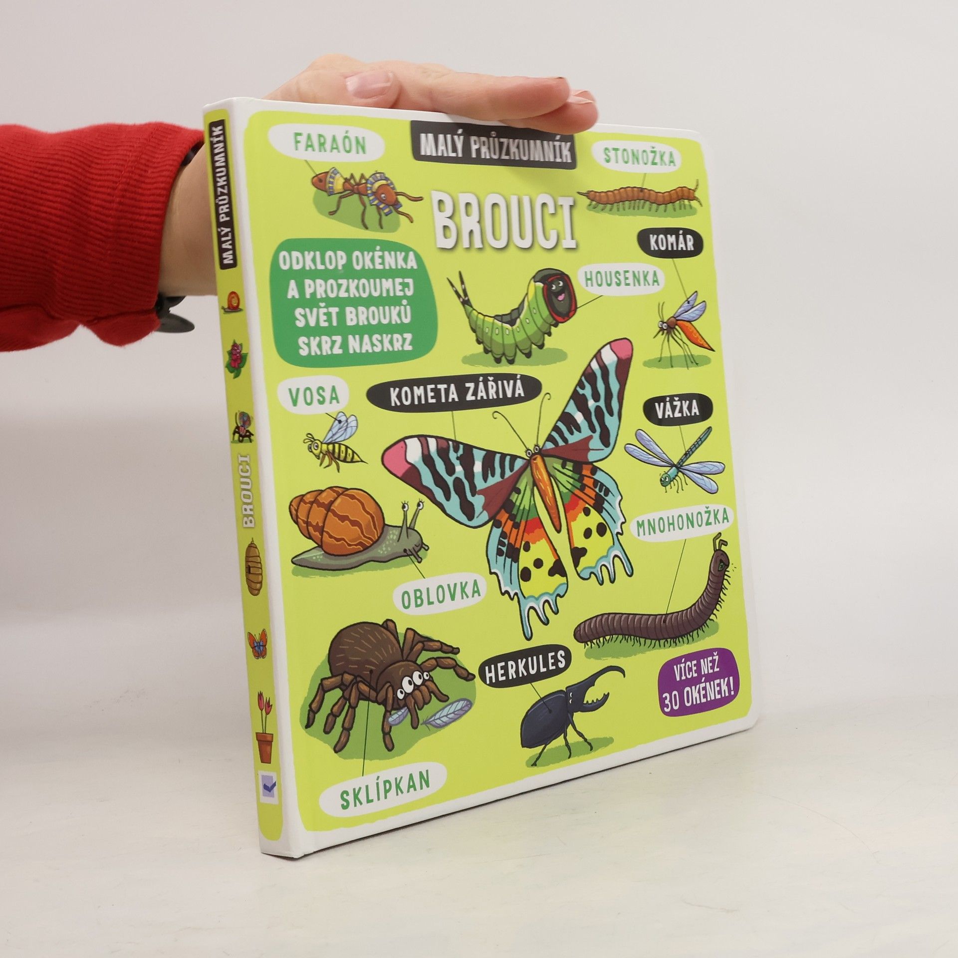 Autorenkollektiv Brouci