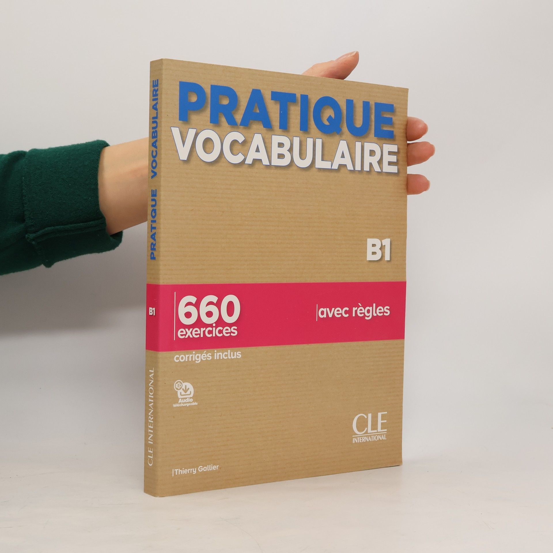 Thierry Gallier Pratique vocabulaire niv.B1