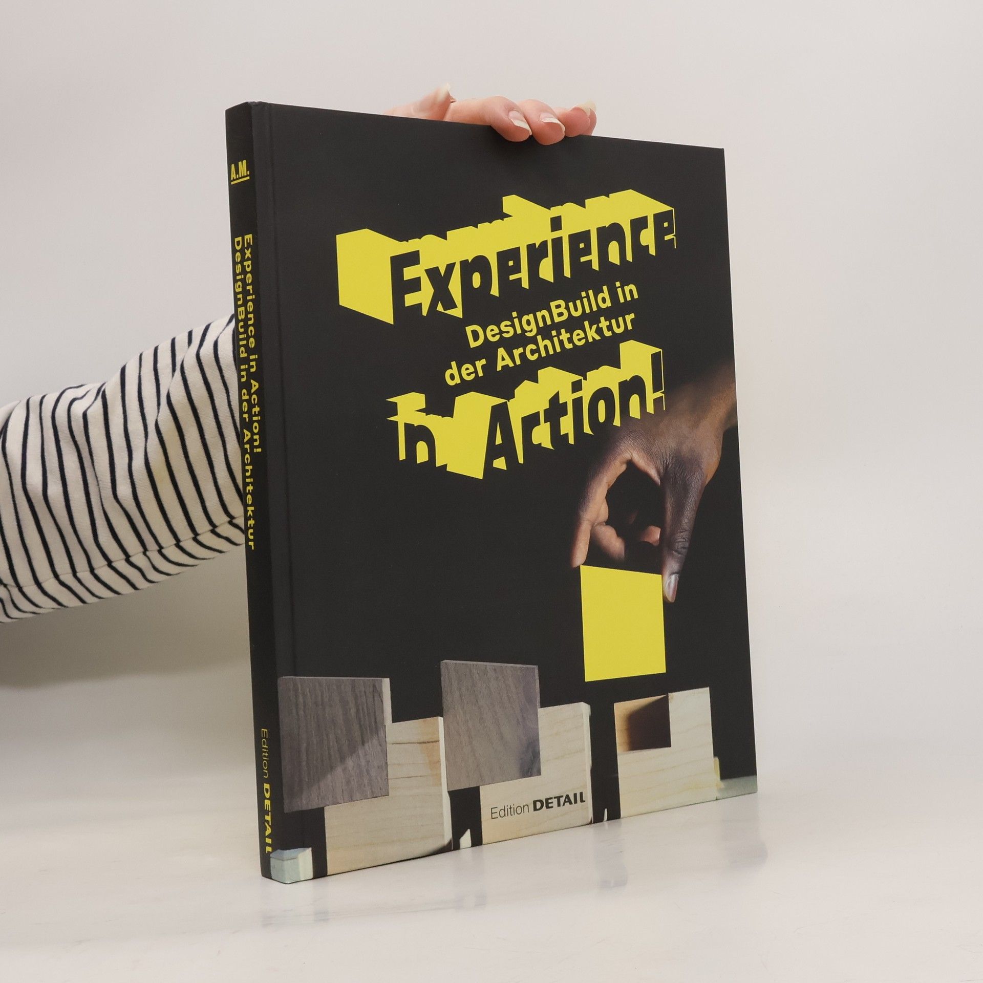 Experience in Action