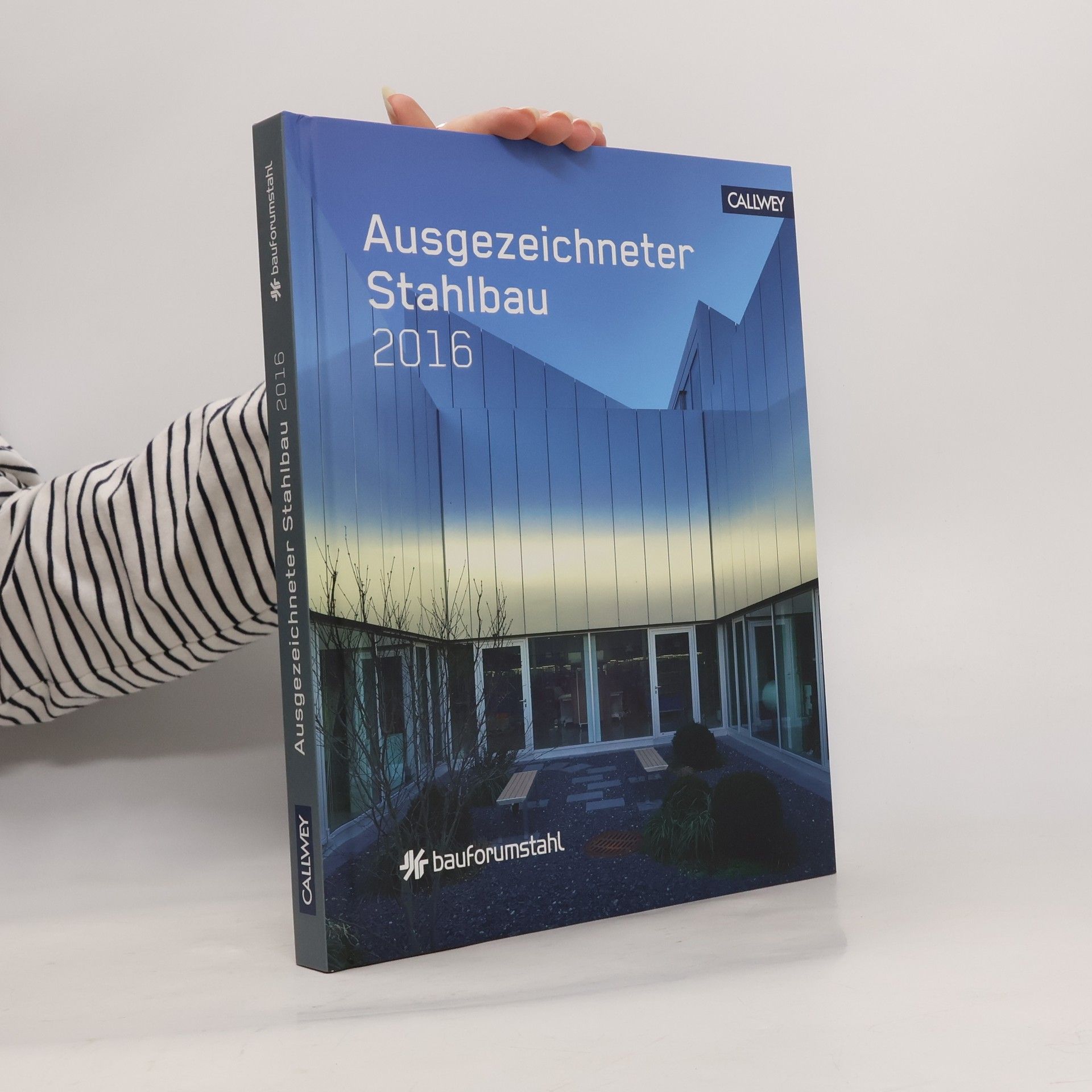 Autorenkollektiv Ausgezeichneter Stahlbau 2016