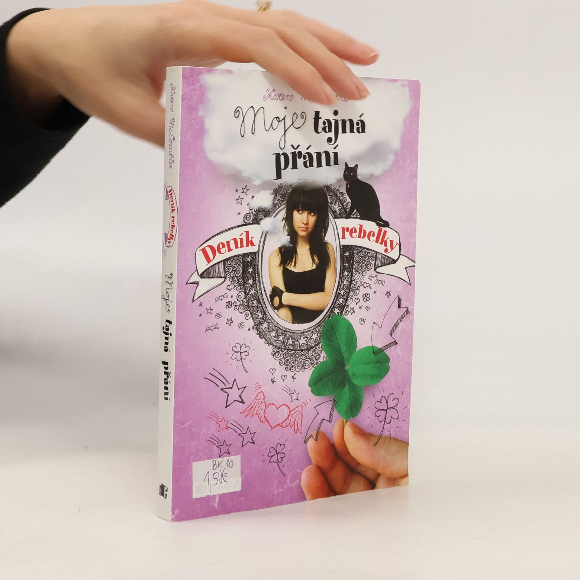 Deník rebelky. Moje tajná přání