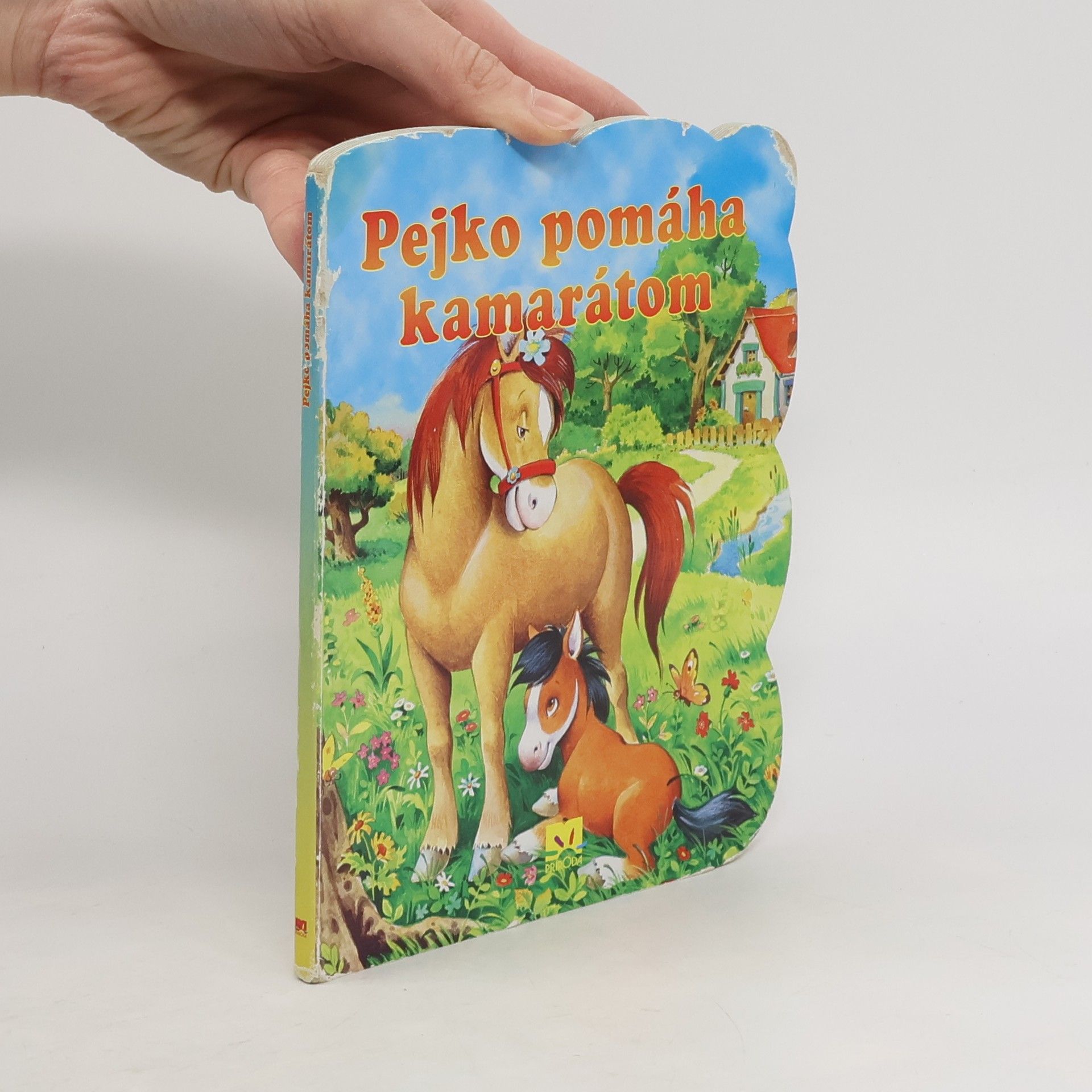 Autores varios Pejko pomáha kamarátom