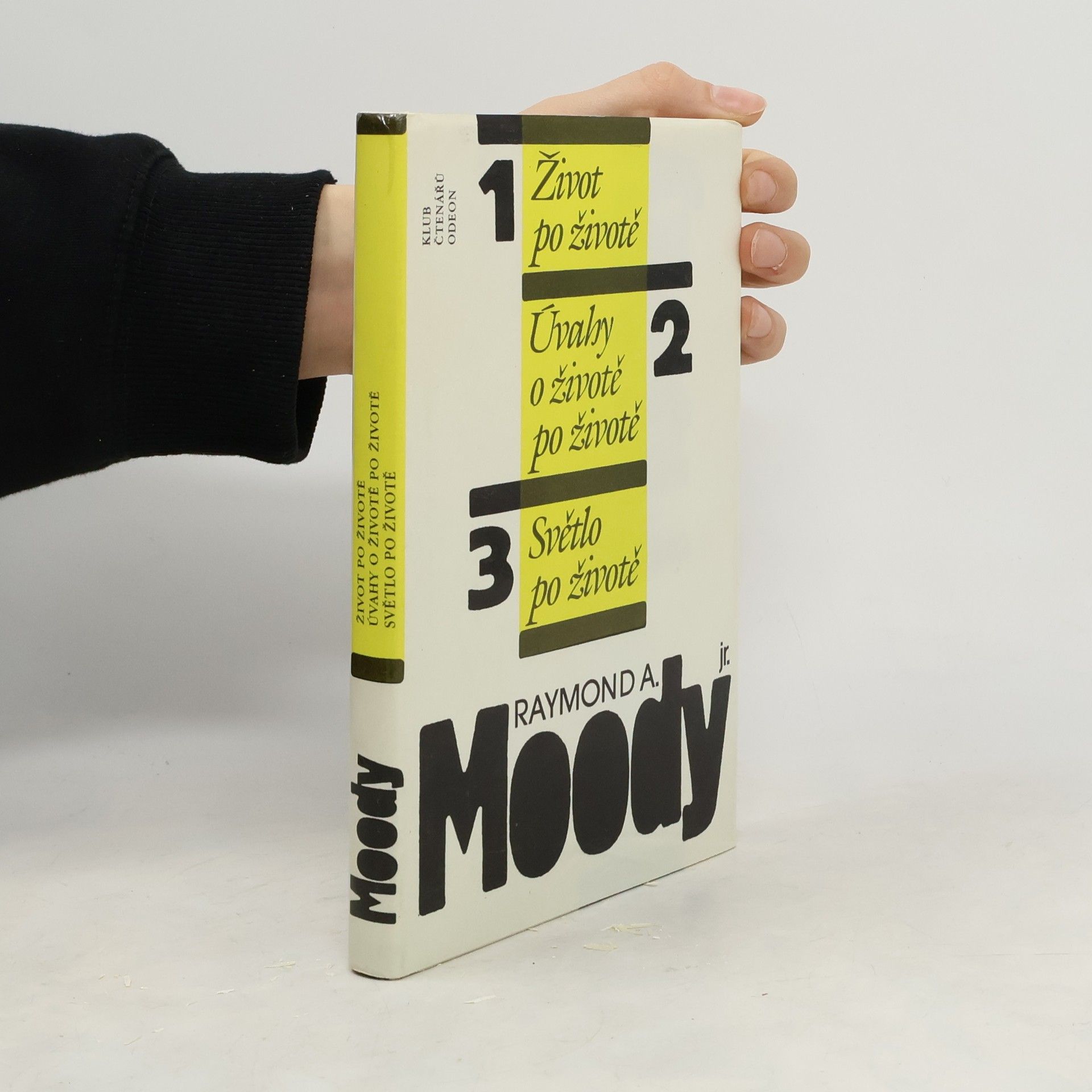 Raymond Moody Život po životě. Úvahy o životě po životě. Světlo po životě