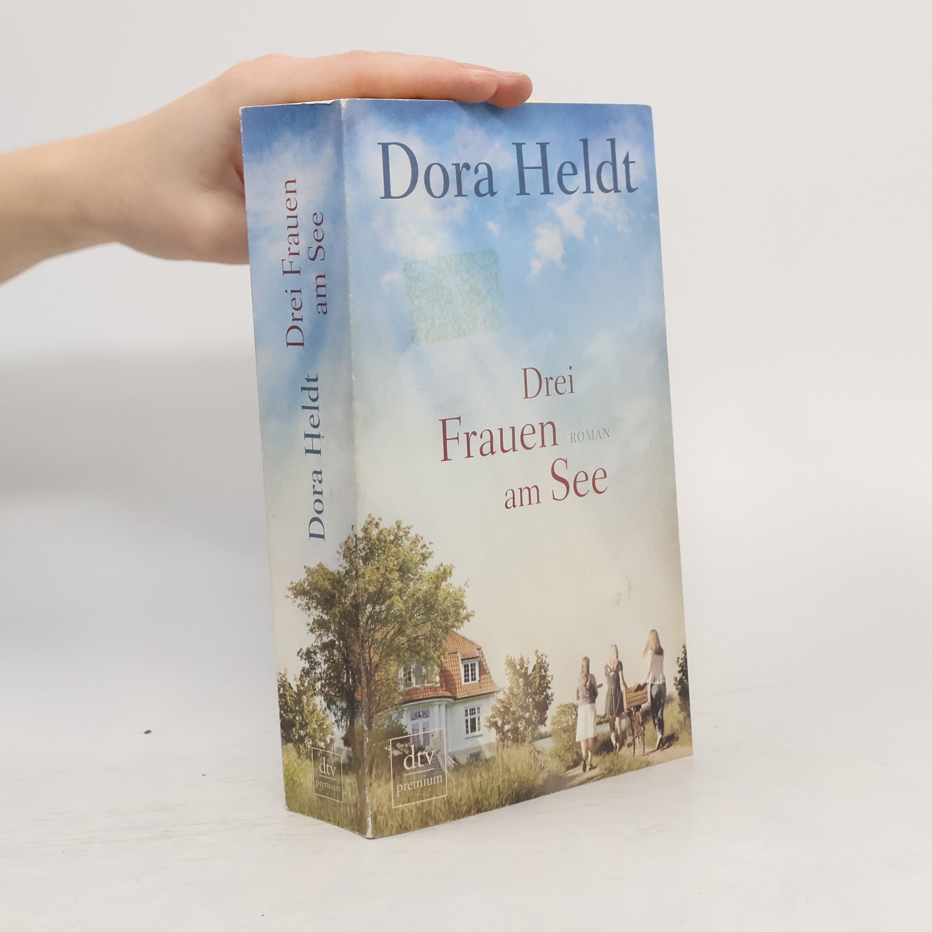 Dora Heldt Drei Frauen am See