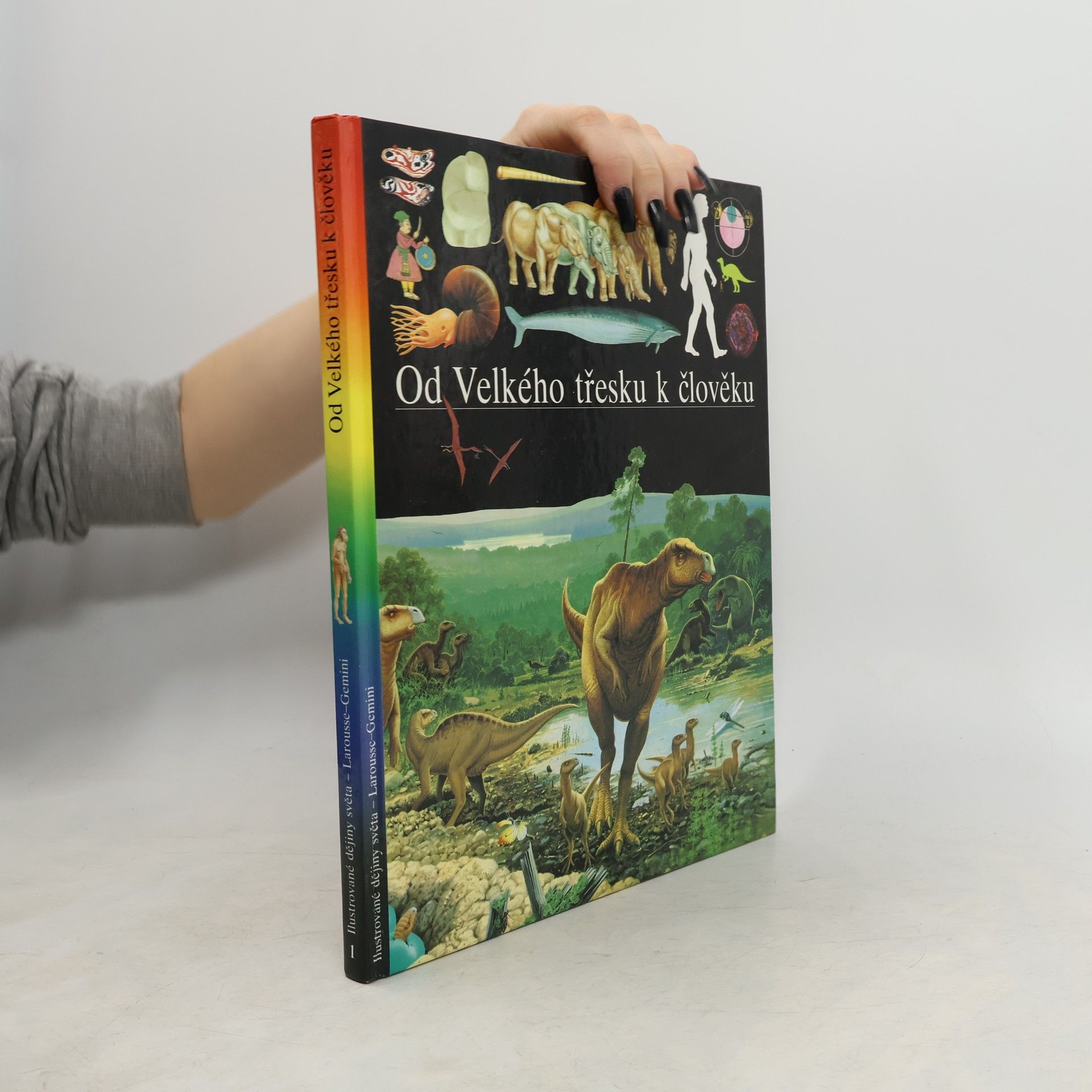 Kolektiv autorů Od Velkého třesku k člověku