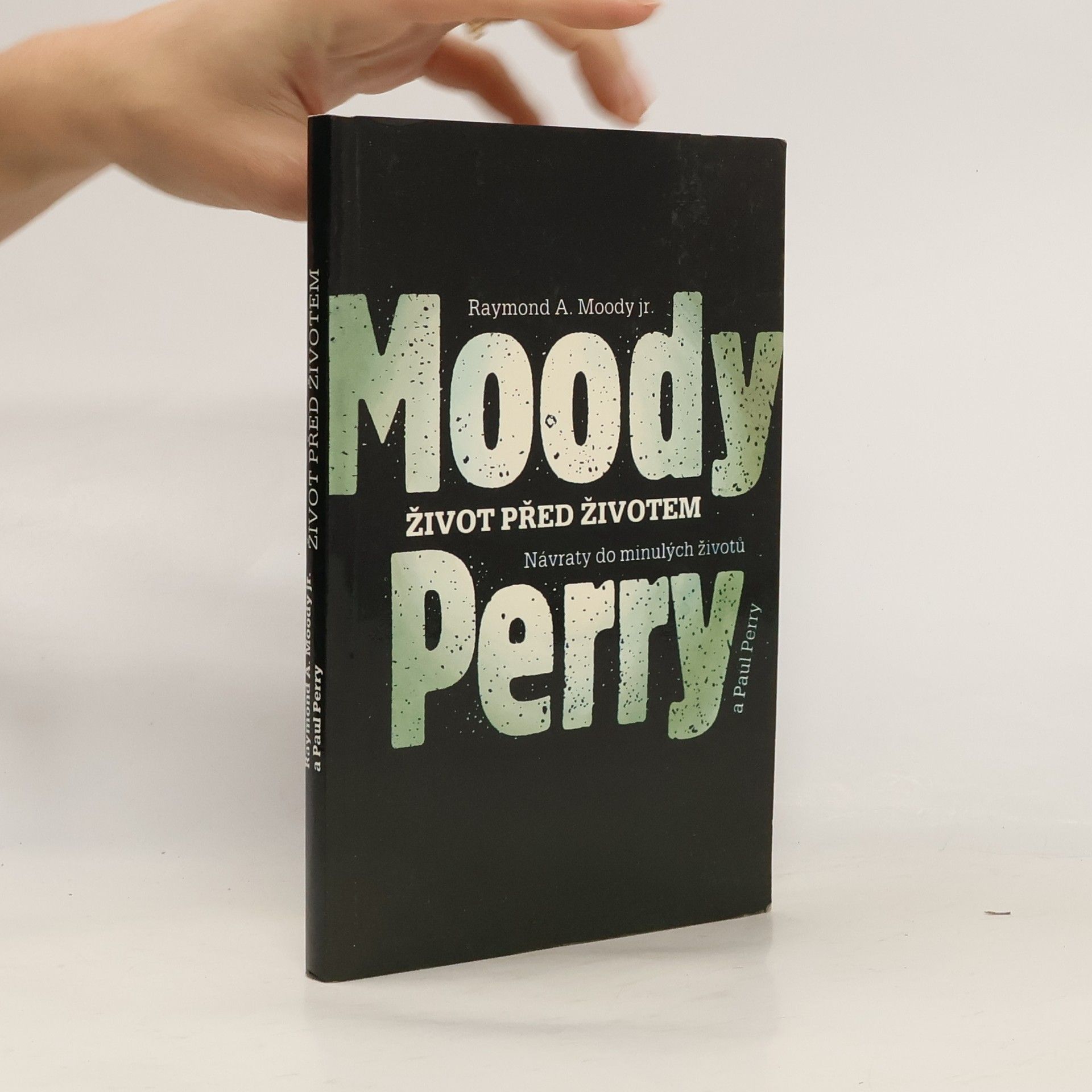 Život před životem: Návraty do minulých životů