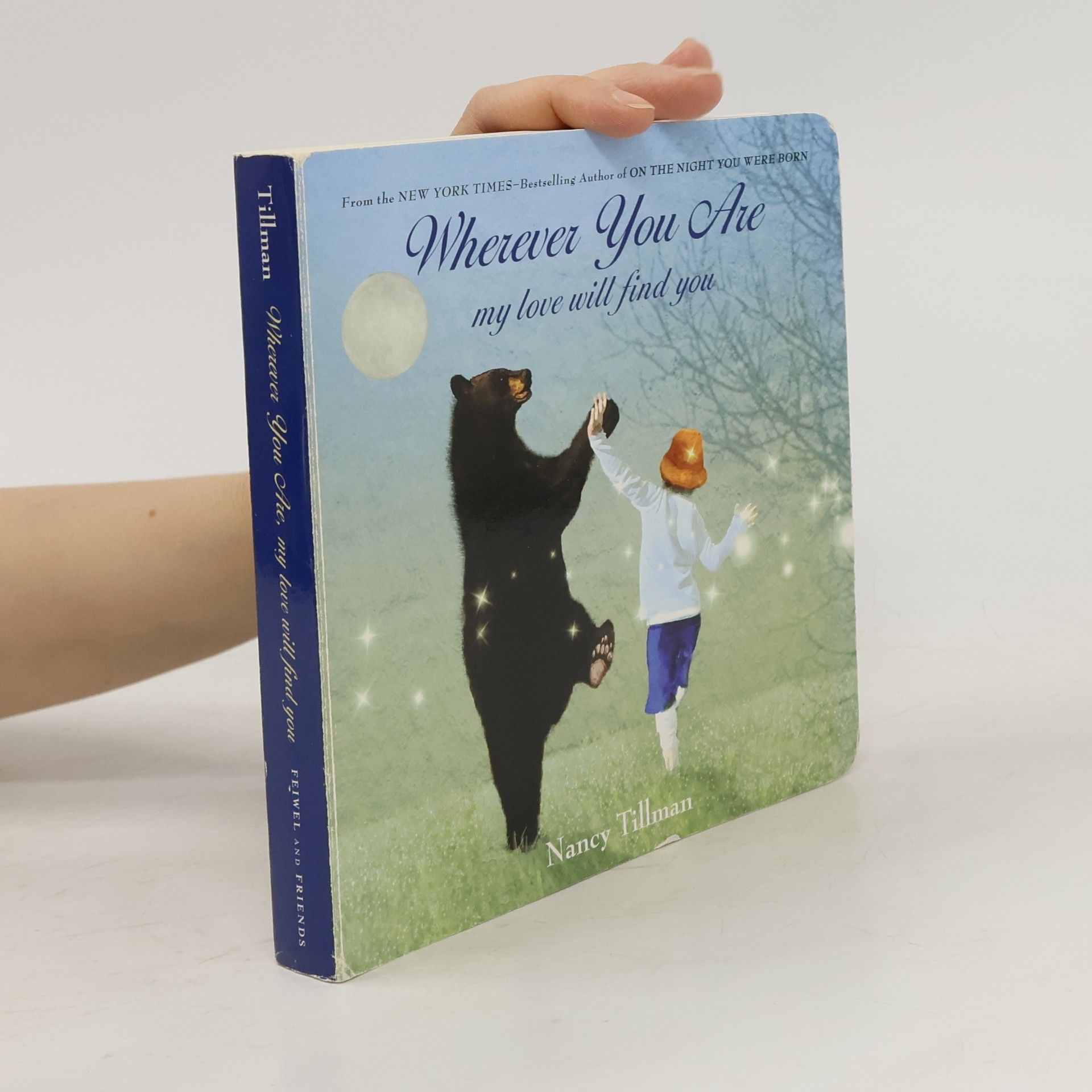 Nancy Tillman Wherever You Are: My Love Will Find You