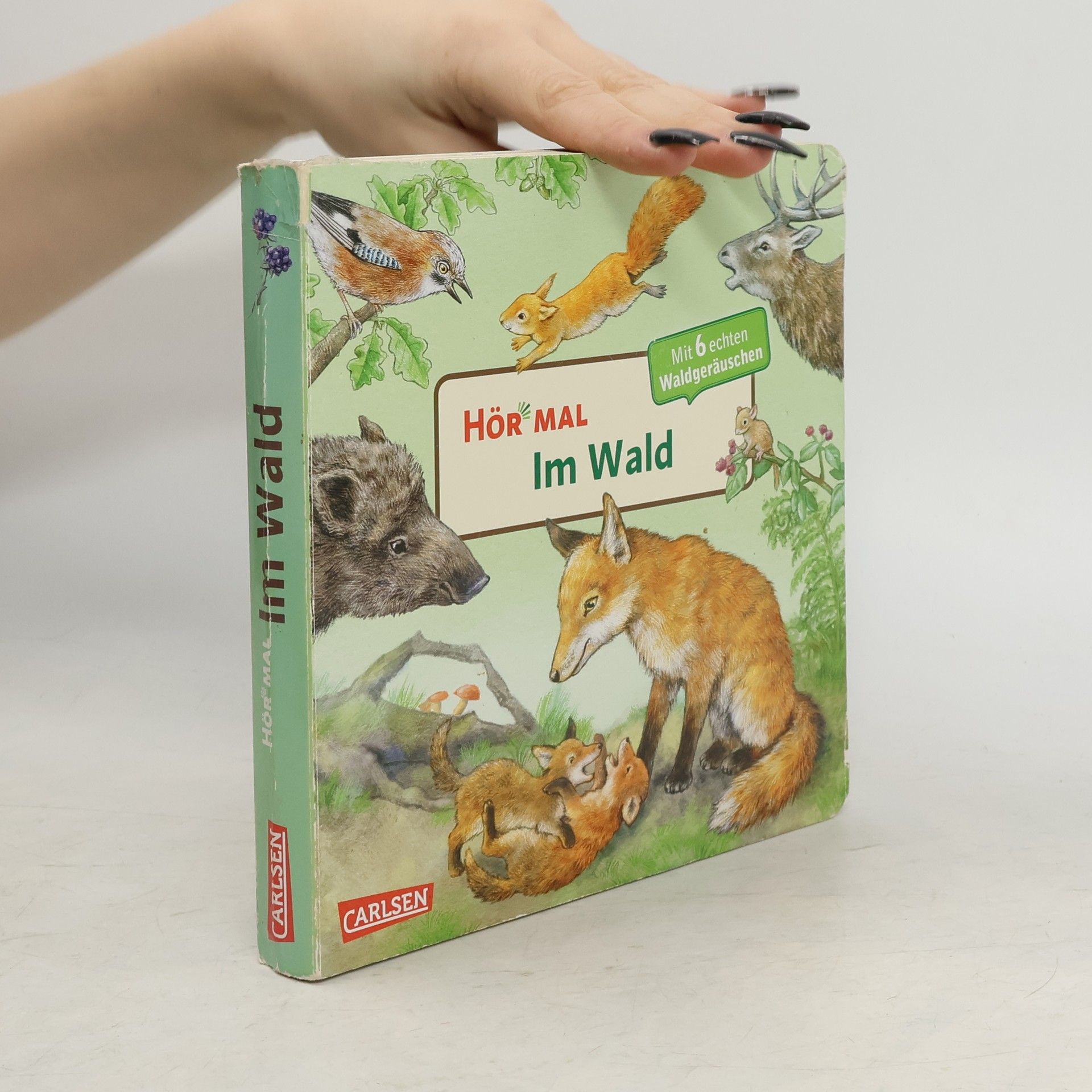 Anne Möller Hör mal - im Wald