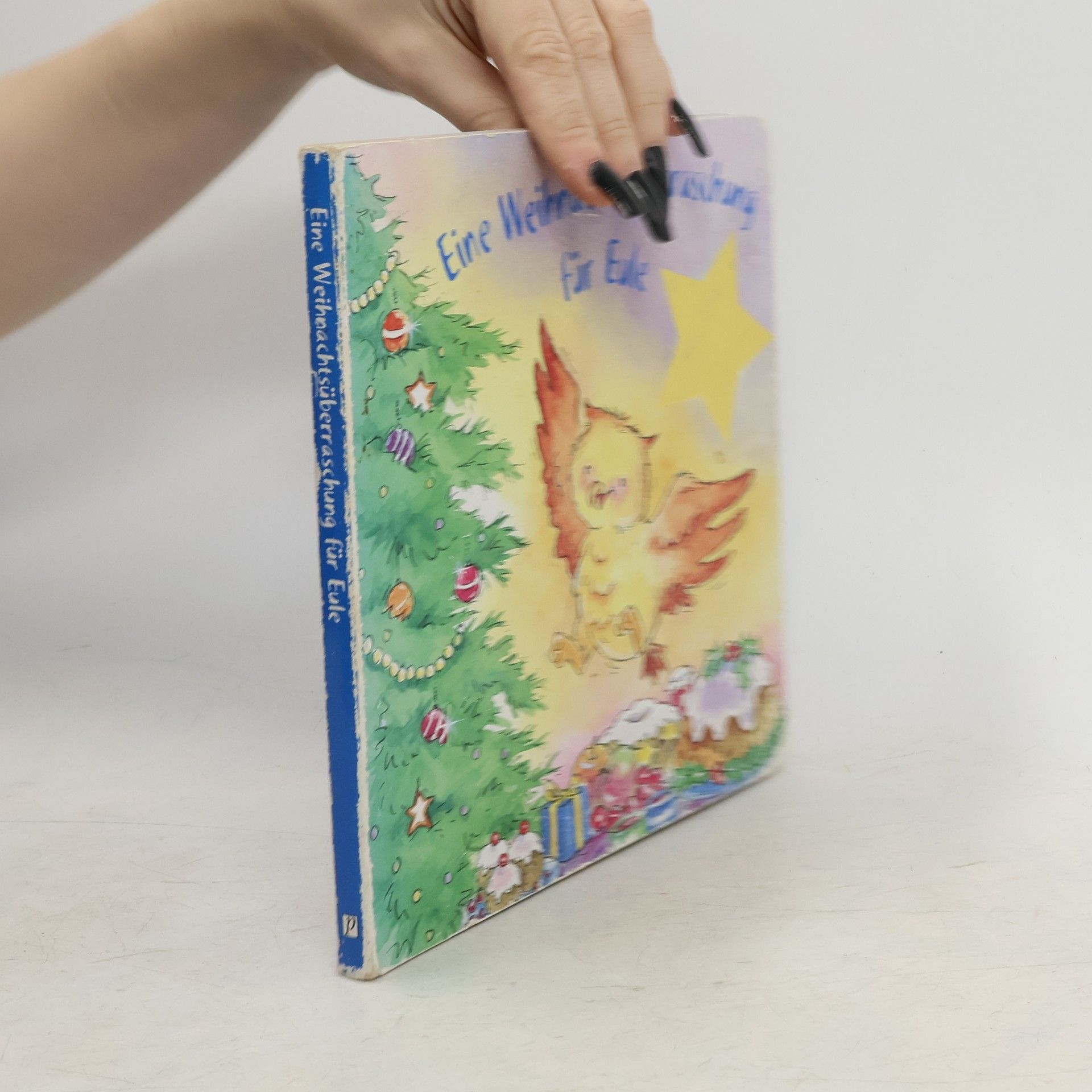 Gaby Goldsack Eine Weihnachtsüberraschung für Eule